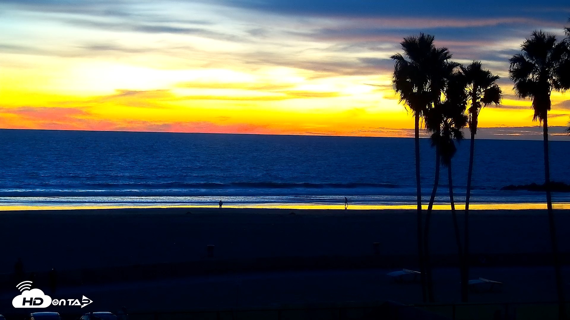 Snapshot of Venice Beach Live Surf Cam taken Nov 5, 2025, 5:24pm PST