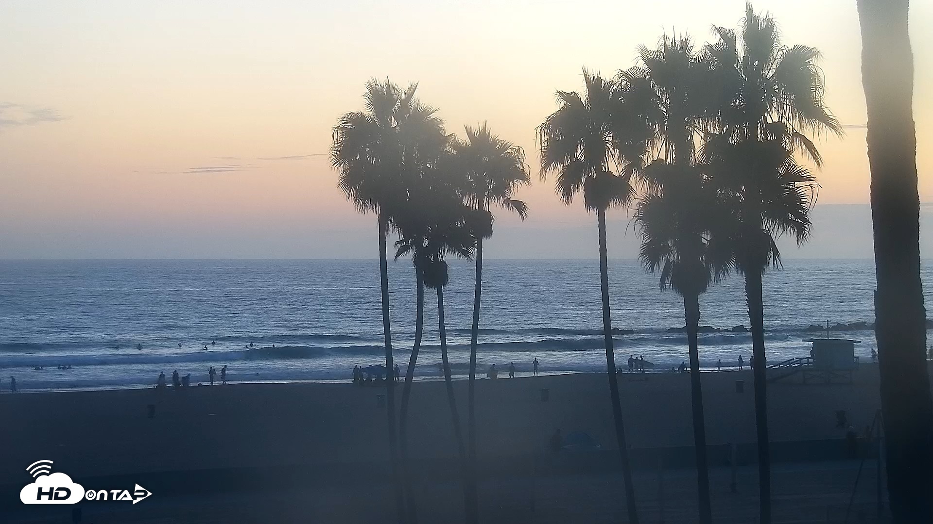 Snapshot of Venice Beach Live Surf Cam taken Aug 26, 2026, 7:44pm PDT