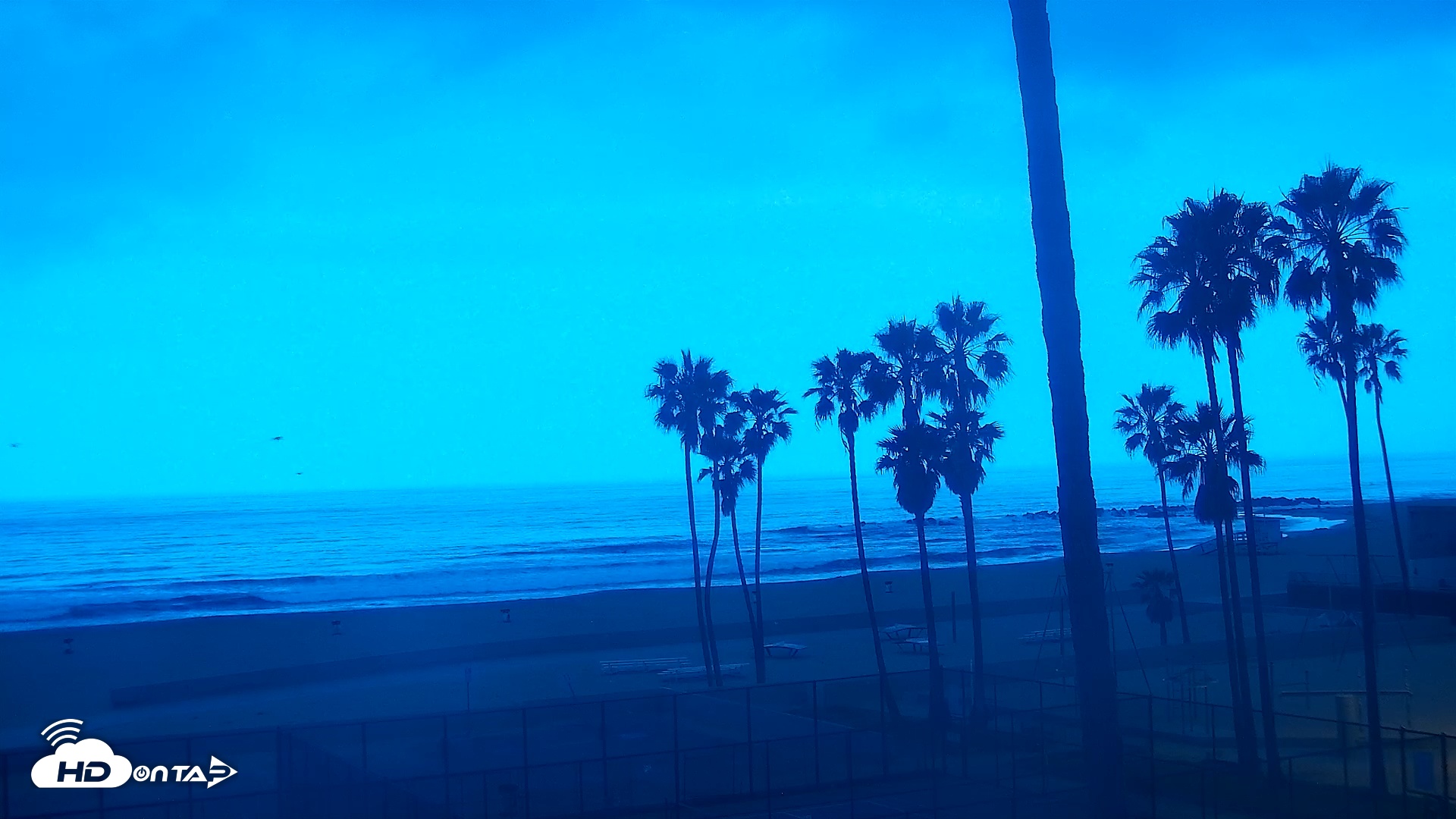 Snapshot of Venice Beach Live Surf Cam taken May 5, 2025, 5:55am PDT