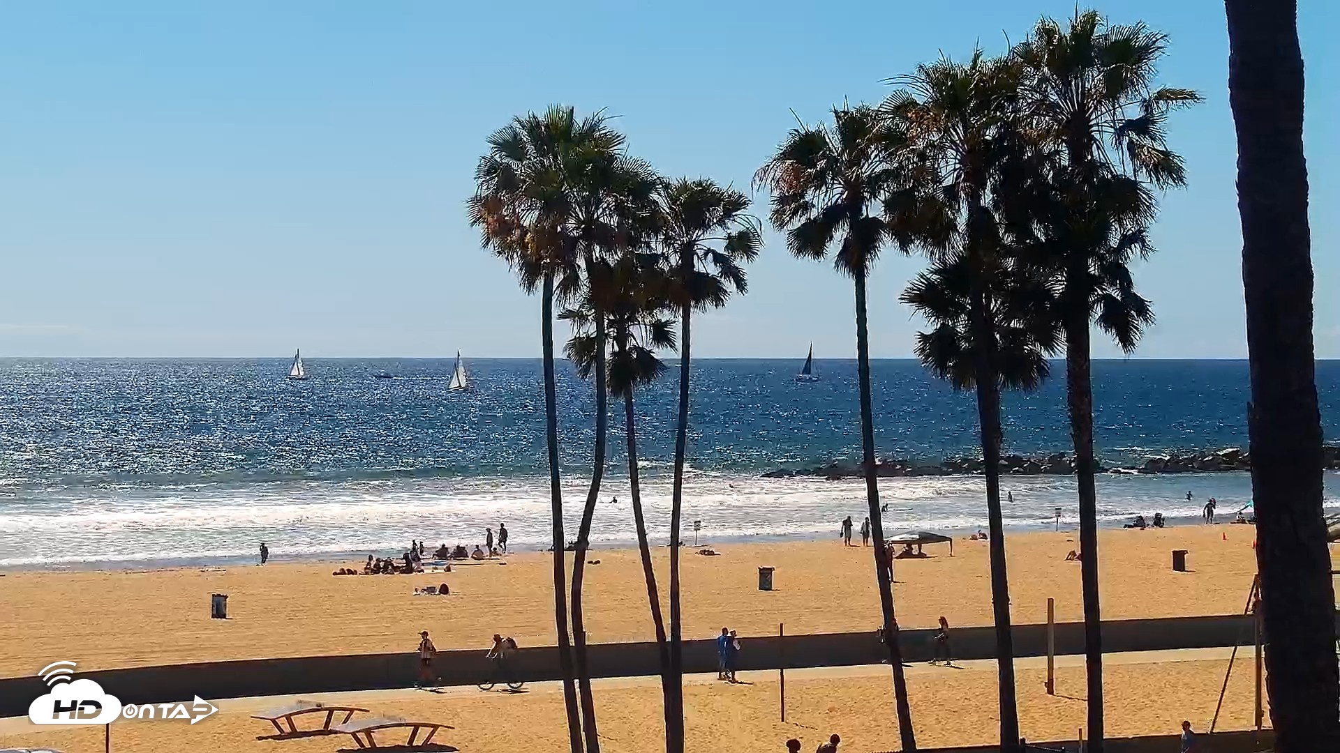 Snapshot of Venice Beach Live Surf Cam taken Apr 11, 2026, 3:04pm PDT