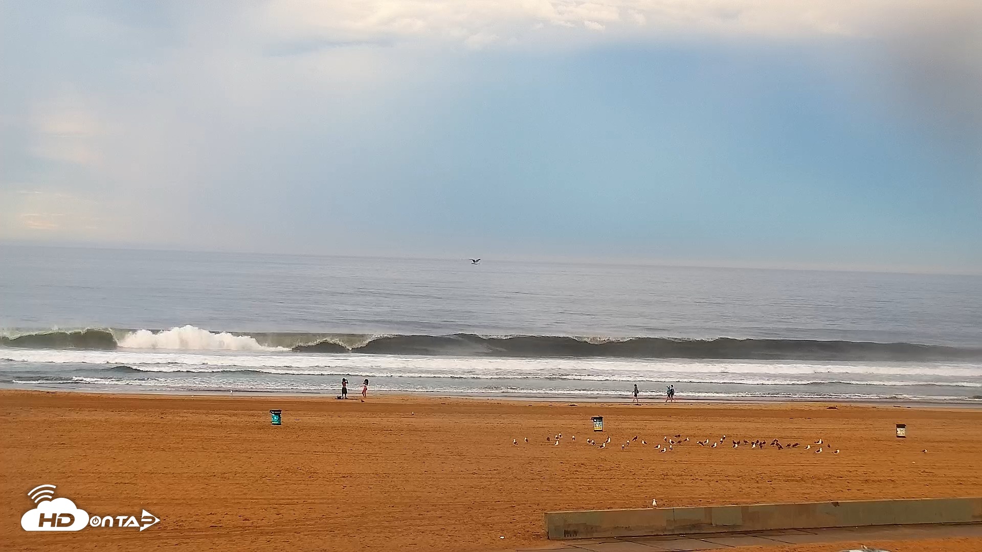 Snapshot of Venice Beach Live Surf Cam taken Sep 7, 2026, 7:05am PDT