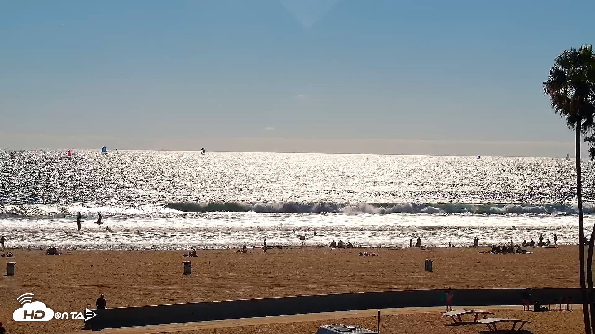 Snapshot of Venice Beach Live Surf Cam taken Apr 11, 2026, 4:00pm PDT