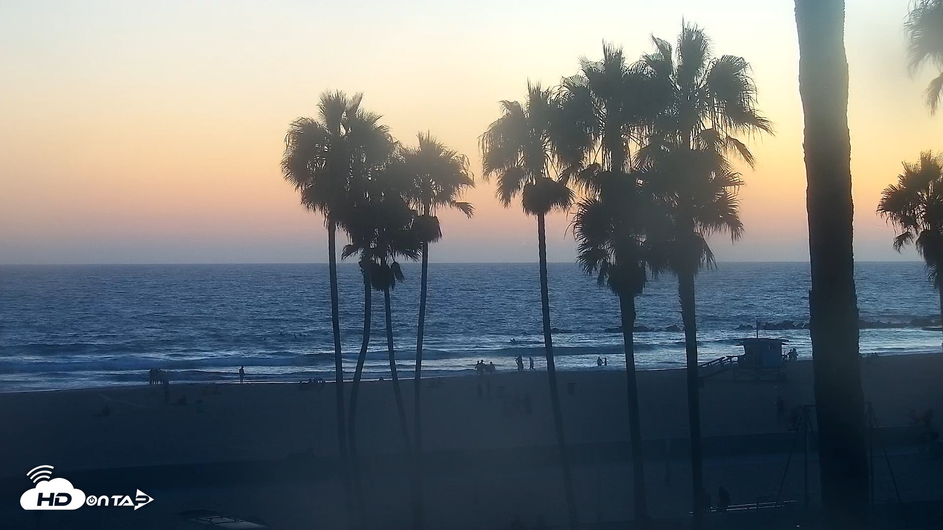 Snapshot of Venice Beach Live Surf Cam taken Aug 23, 2026, 7:41pm PDT
