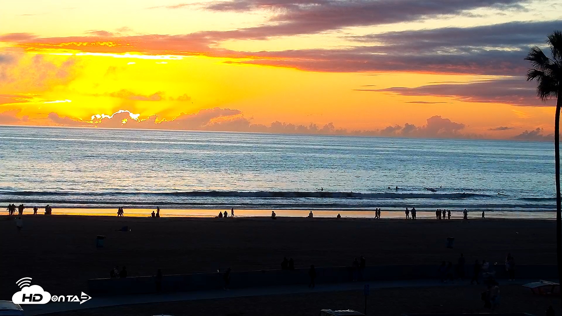 Snapshot of Venice Beach Live Surf Cam taken Jan 1, 2026, 4:56pm PST