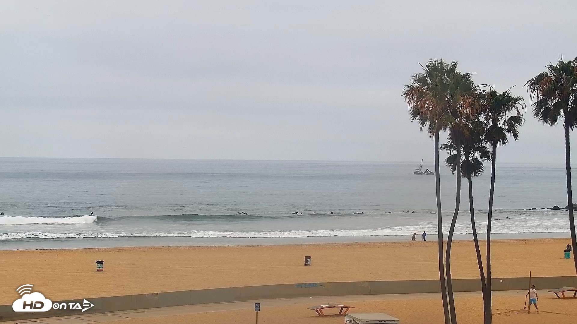 Snapshot of Venice Beach Live Surf Cam taken May 12, 2026, 7:34am PDT