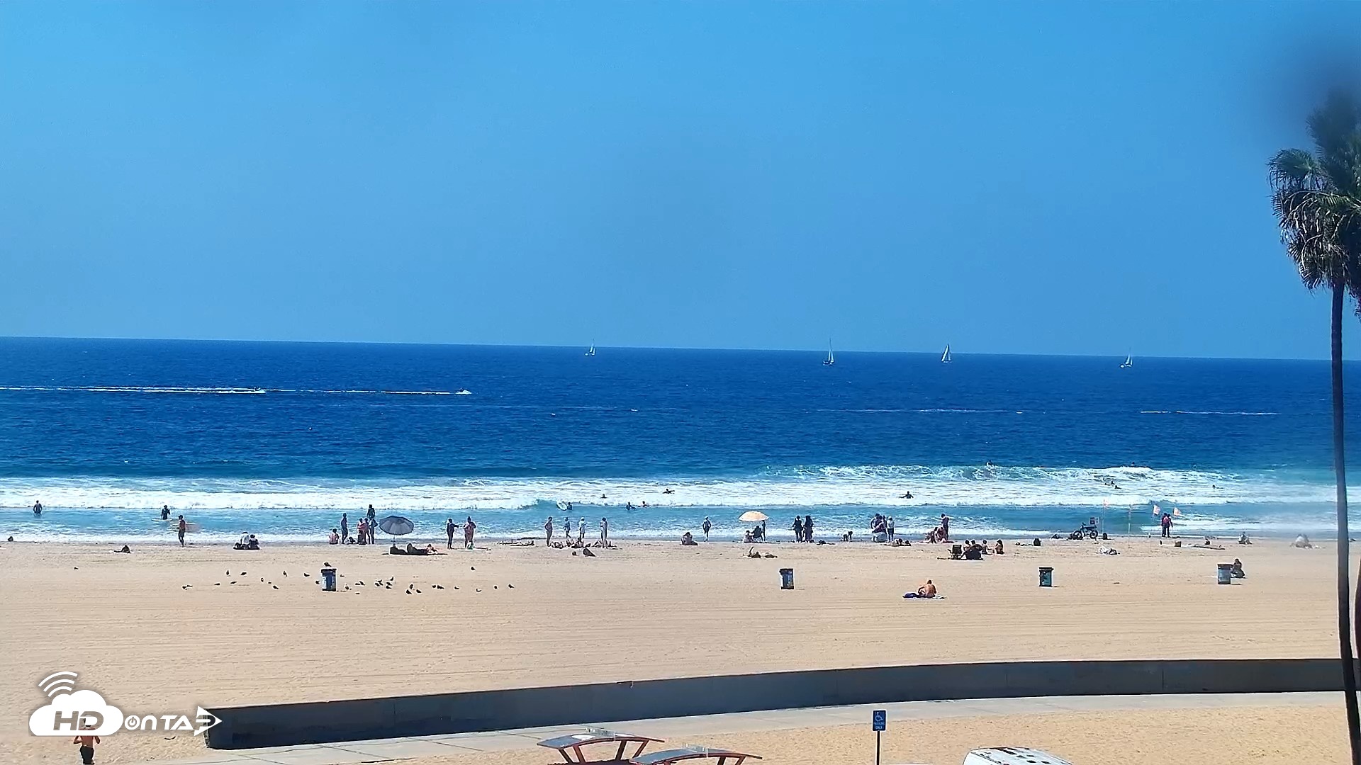 Snapshot of Venice Beach Live Surf Cam taken Sep 12, 2026, 12:26pm PDT