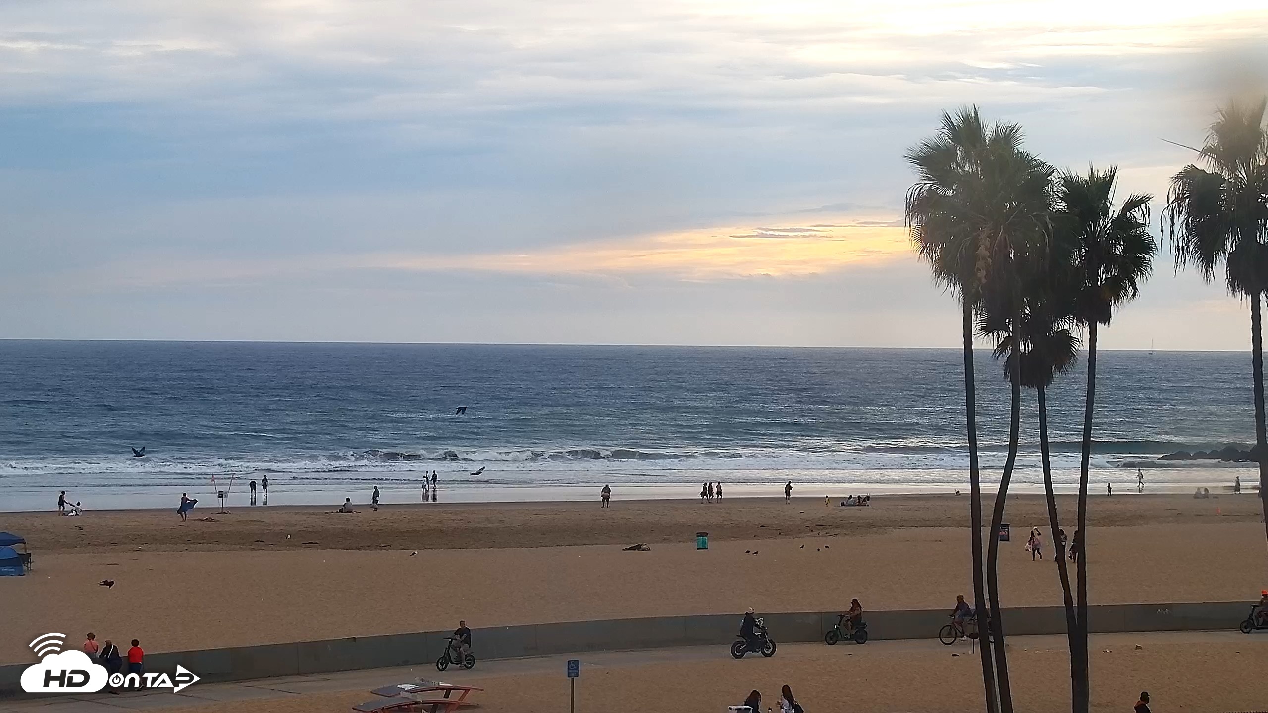 Snapshot of Venice Beach Roaming Live Surf Cam taken Oct 10, 2026, 3:57pm PDT
