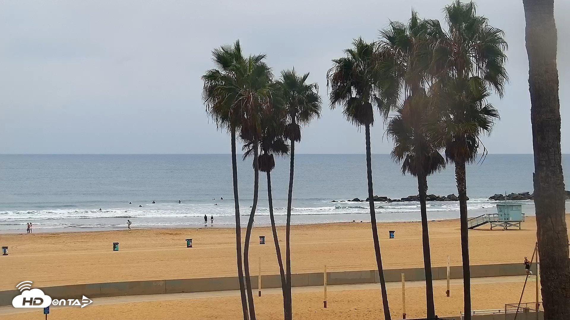 Snapshot of Venice Beach Live Surf Cam taken Sep 14, 2026, 7:36am PDT
