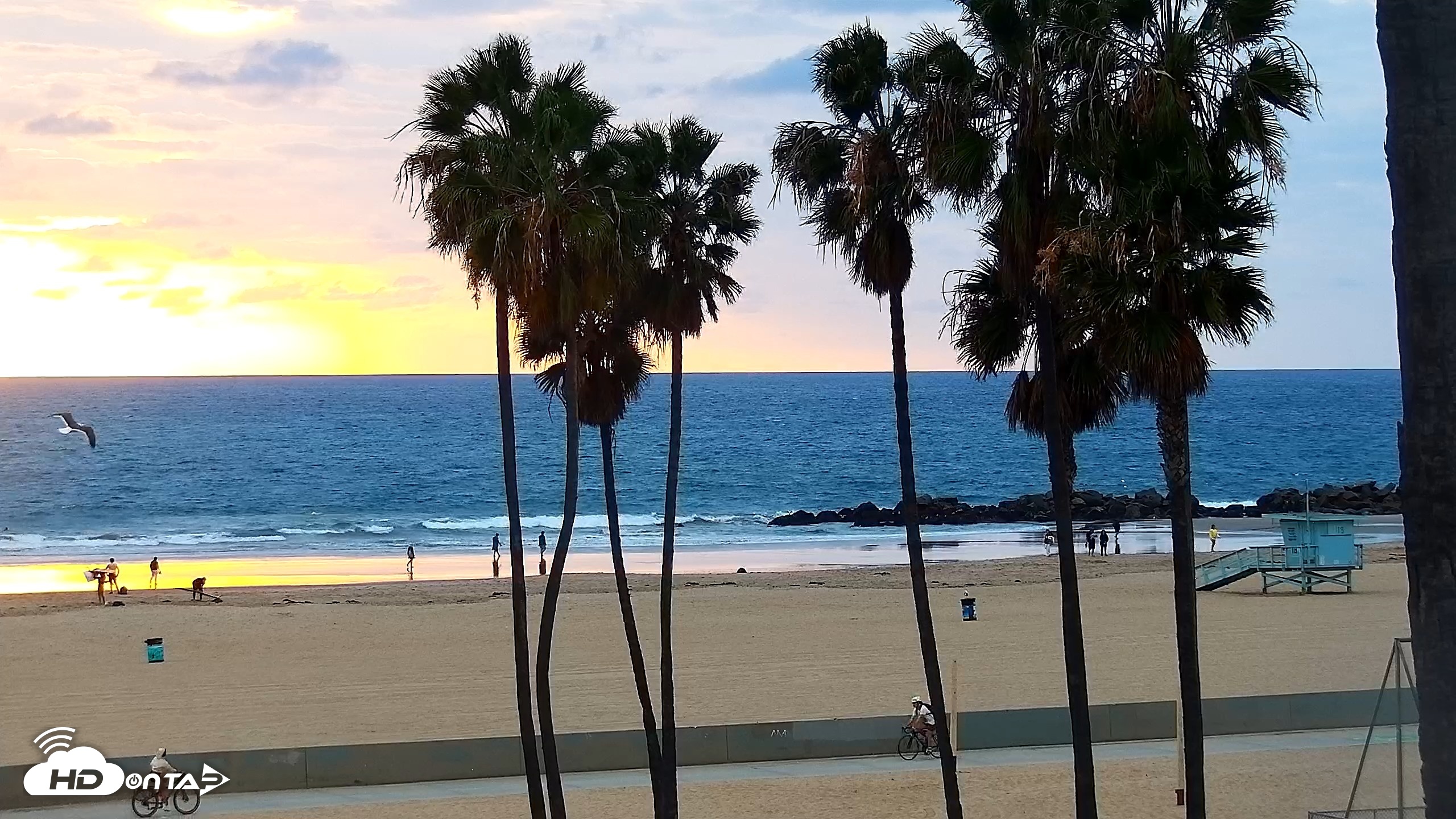 Snapshot of Venice Beach Roaming Live Surf Cam taken Oct 29, 2026, 5:48pm PDT