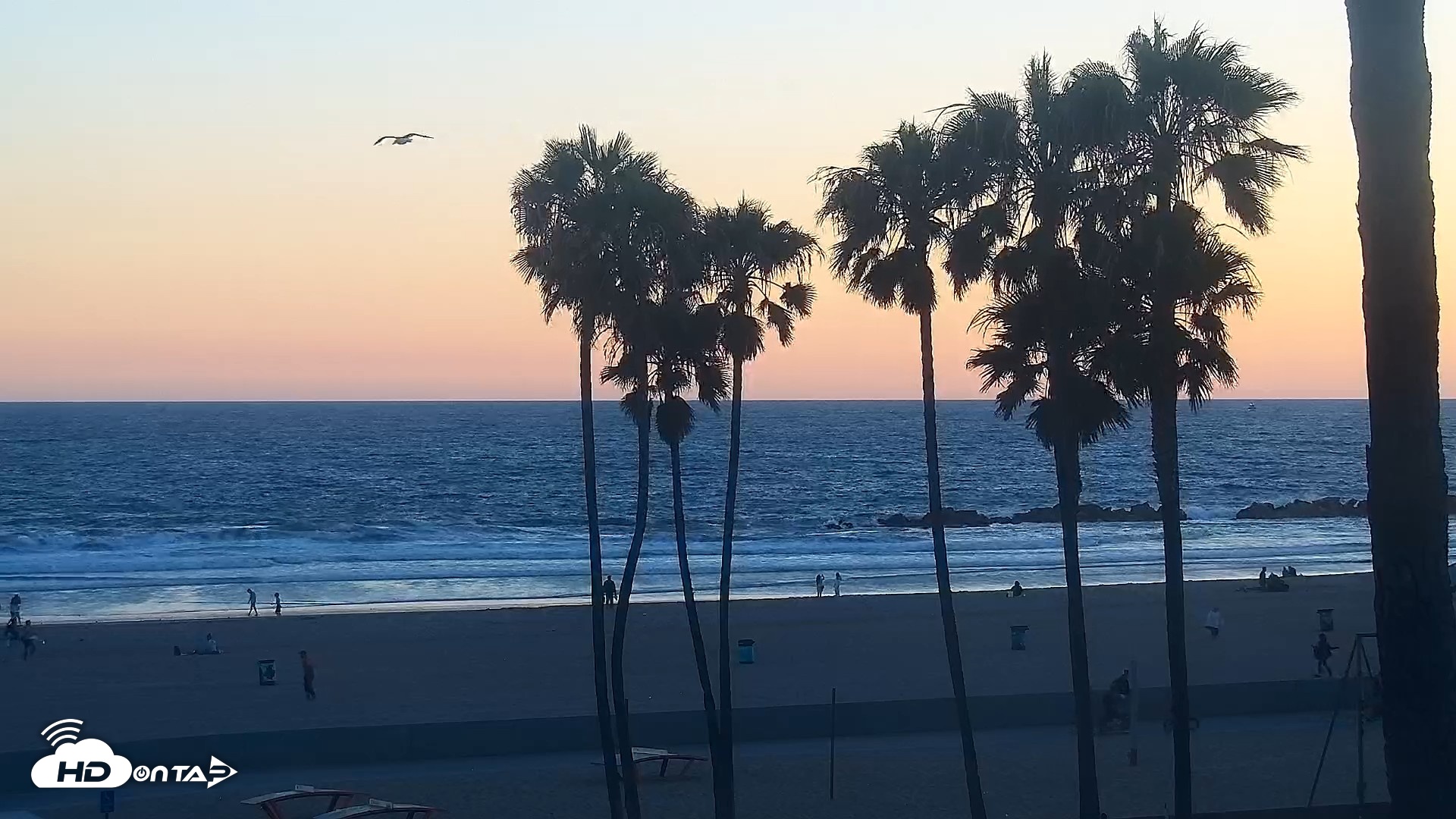 Snapshot of Venice Beach Live Surf Cam taken Jun 20, 2026, 8:00pm PDT