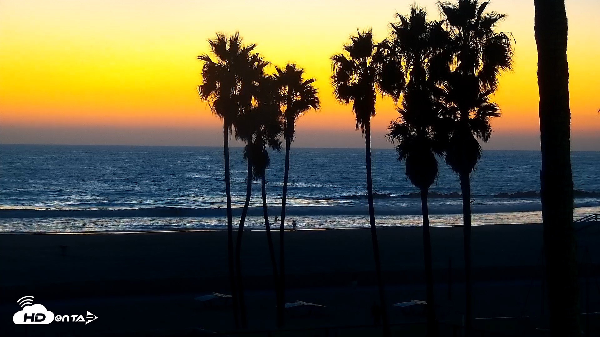 Snapshot of Venice Beach Live Surf Cam taken Oct 31, 2025, 6:30pm PDT