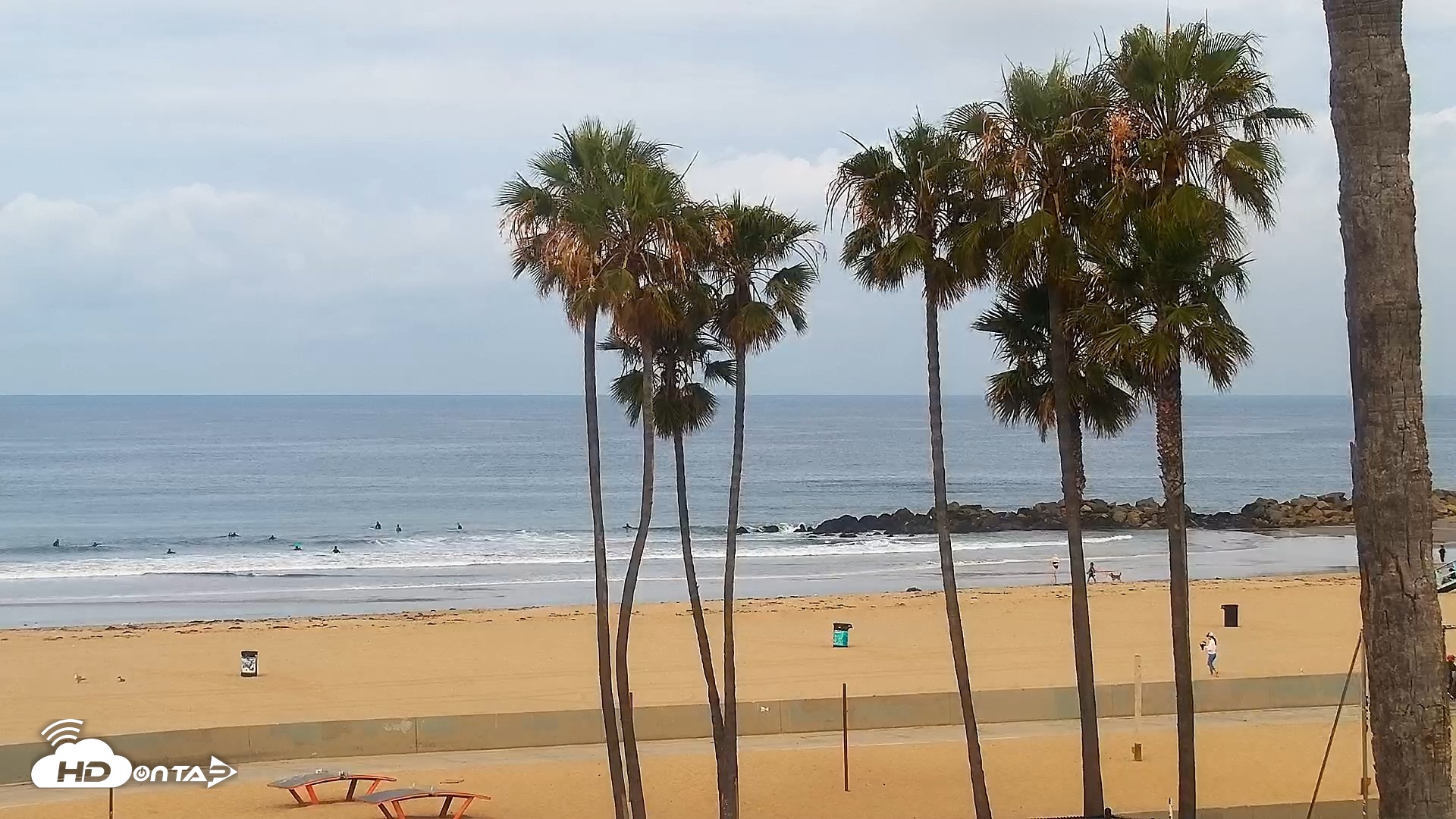 Snapshot of Venice Beach Live Surf Cam taken Apr 21, 2026, 8:59am PDT