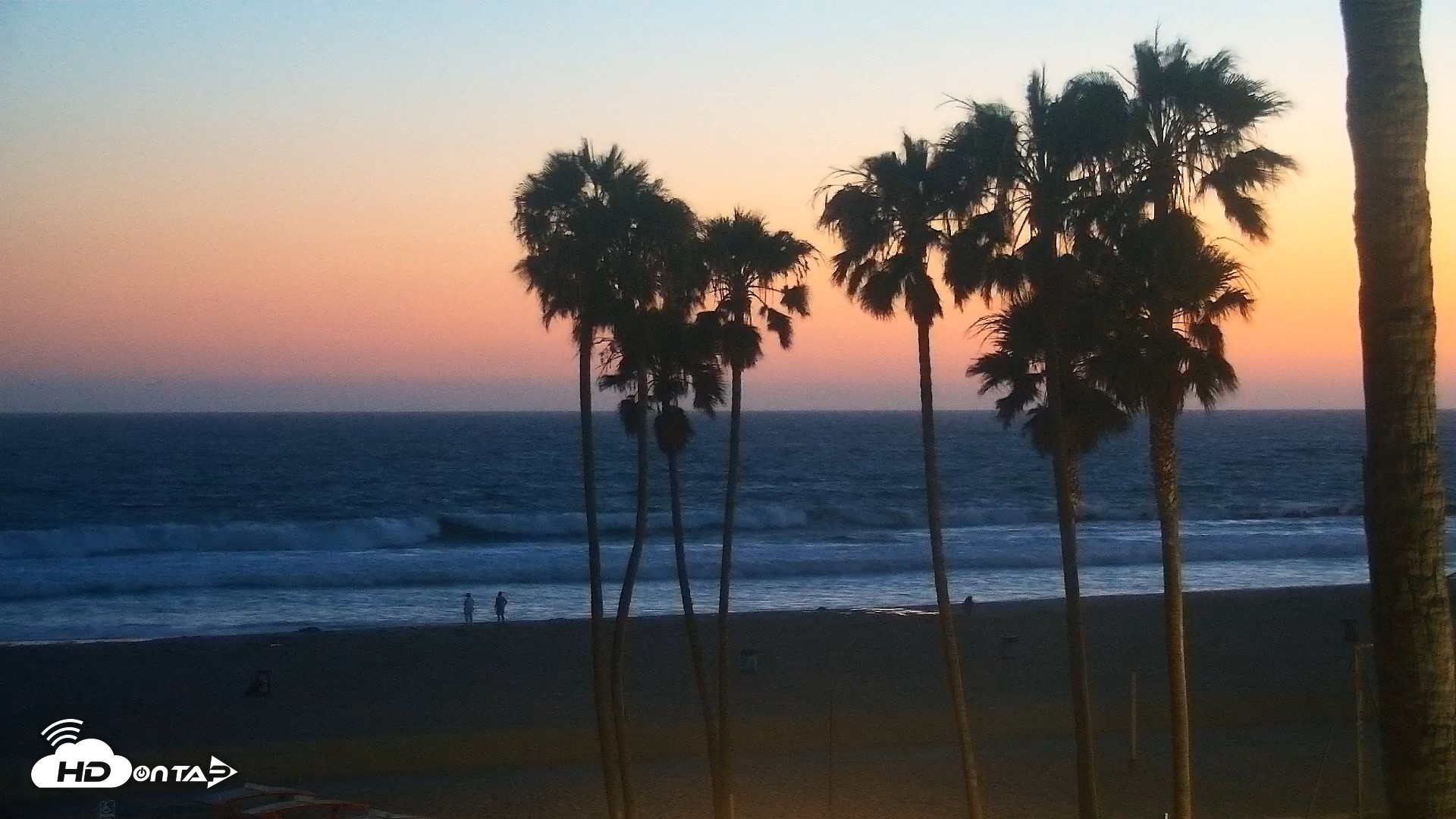 Snapshot of Venice Beach Live Surf Cam taken Jun 14, 2026, 8:42pm PDT