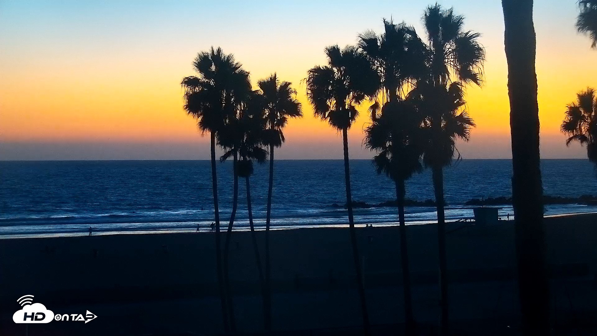 Snapshot of Venice Beach Live Surf Cam taken Sep 18, 2026, 7:28pm PDT