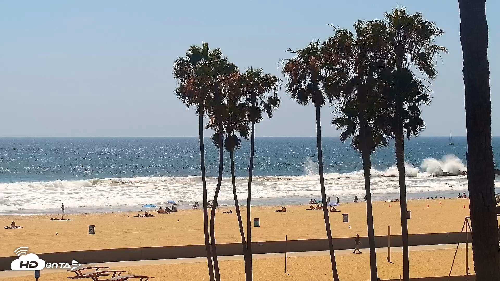 Snapshot of Venice Beach Live Surf Cam taken Jun 9, 2026, 2:46pm PDT
