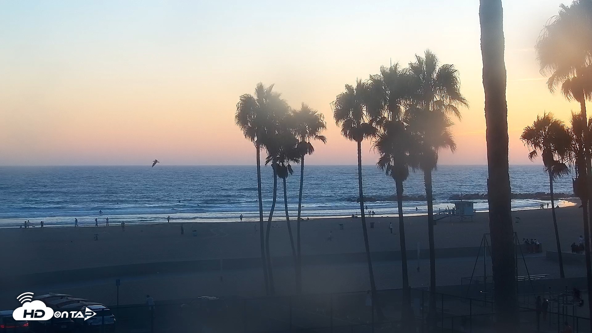 Snapshot of Venice Beach Live Surf Cam taken Aug 19, 2026, 7:32pm PDT