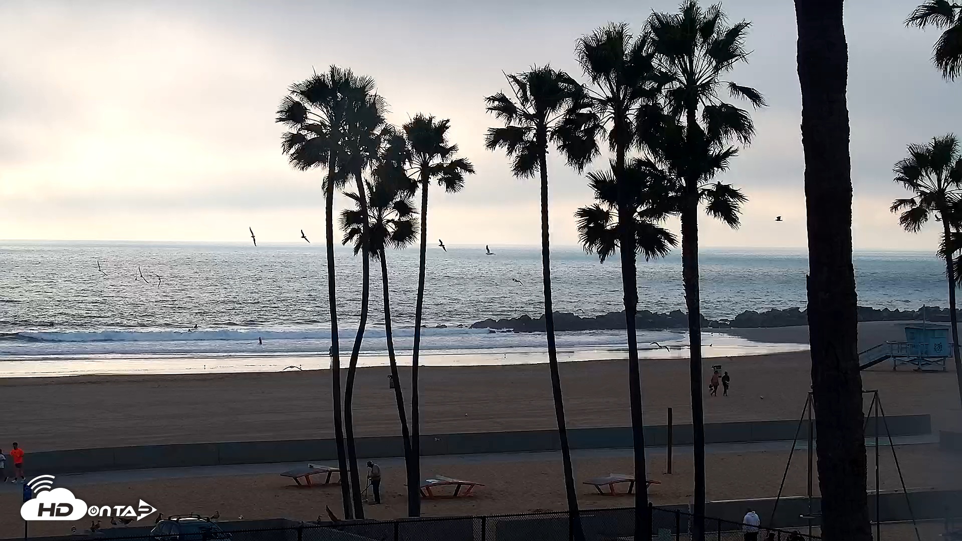 Snapshot of Venice Beach Live Surf Cam taken Jan 20, 2026, 4:04pm PST
