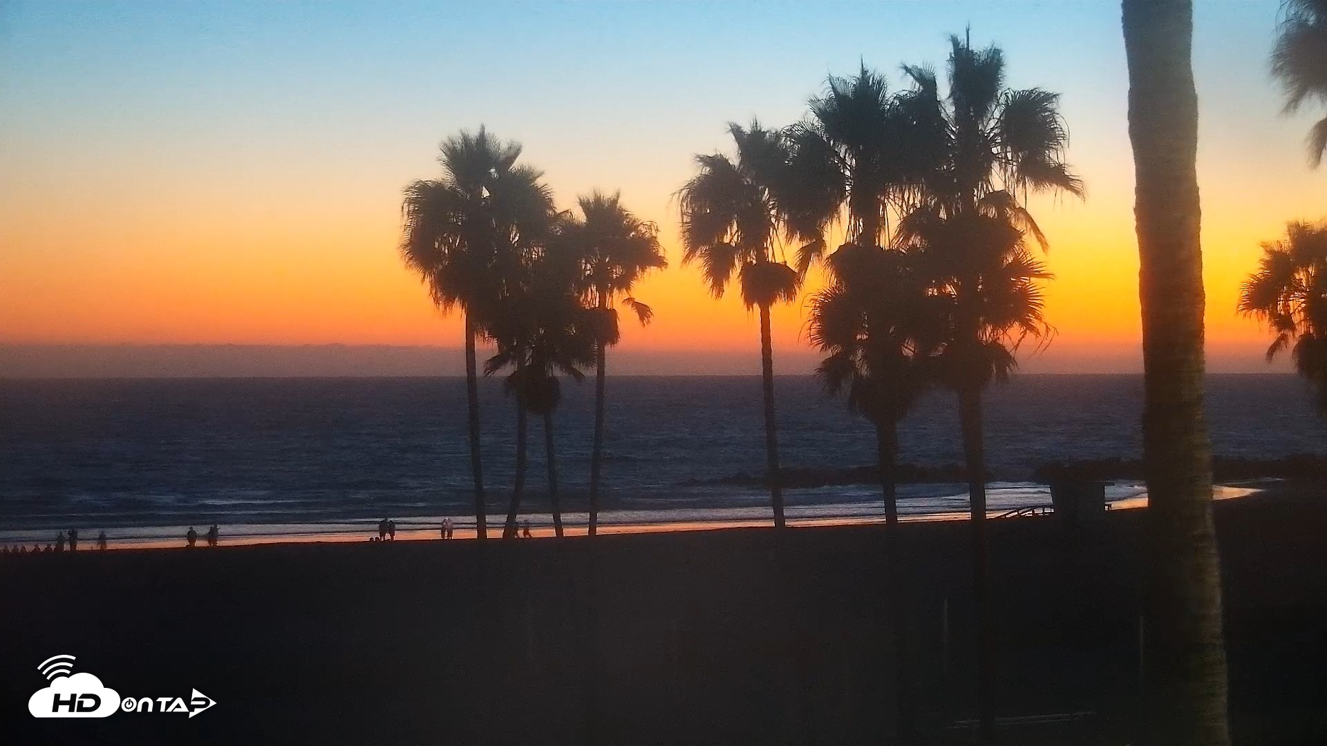 Snapshot of Venice Beach Live Surf Cam taken Aug 31, 2026, 7:57pm PDT