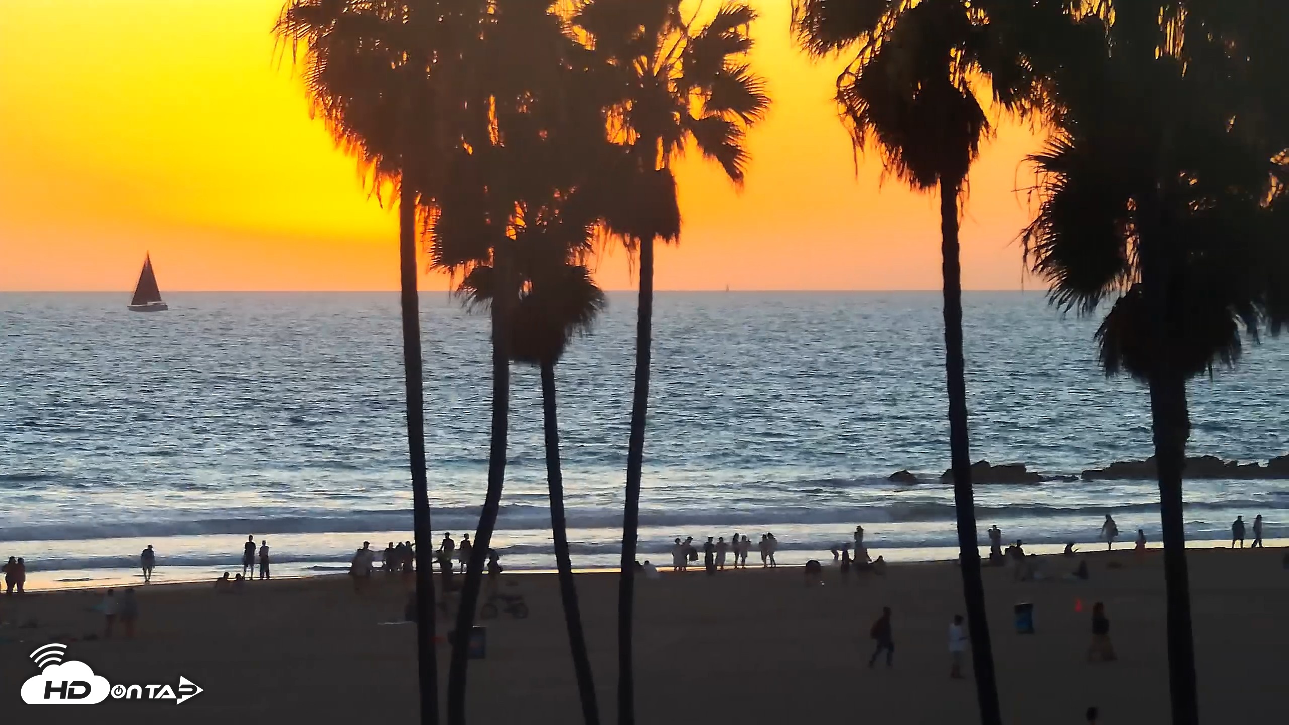 Snapshot of Venice Beach Roaming Live Surf Cam taken Oct 18, 2026, 6:19pm PDT