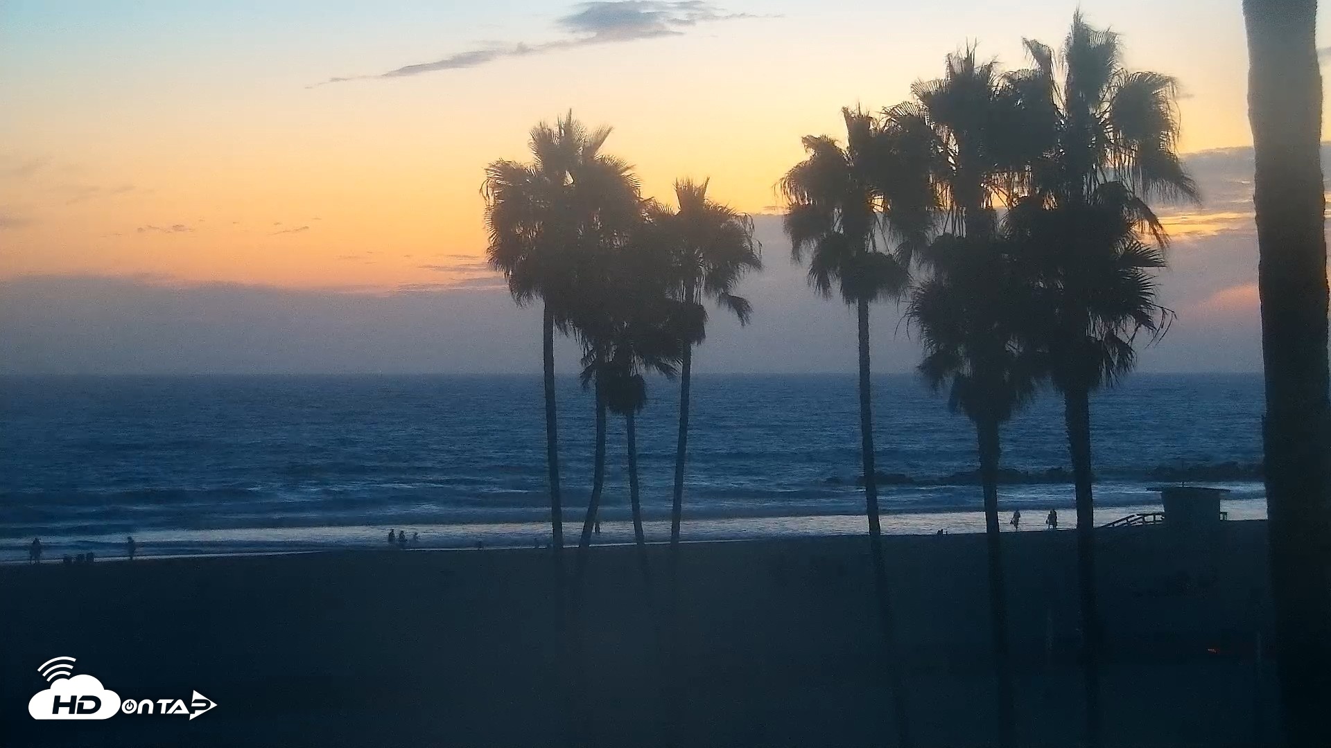 Snapshot of Venice Beach Live Surf Cam taken Aug 29, 2026, 7:53pm PDT