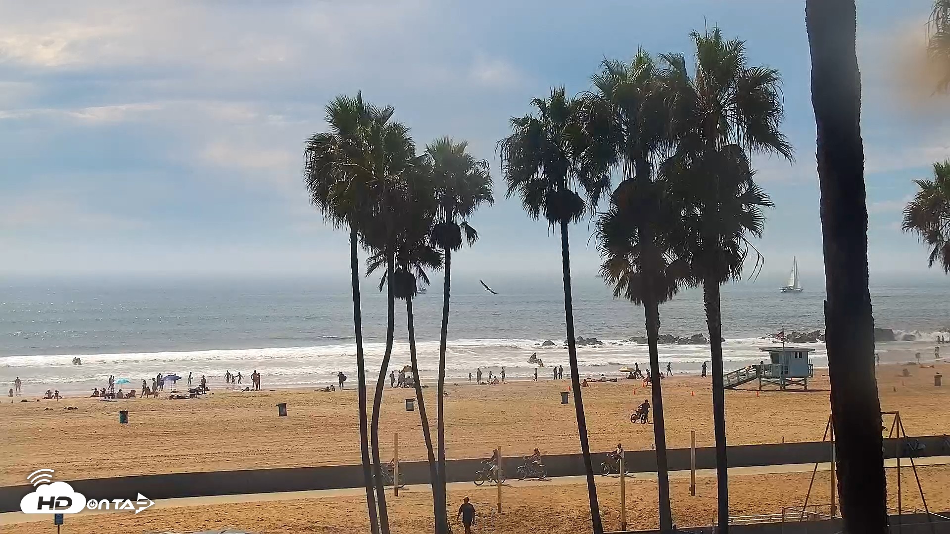 Snapshot of Venice Beach Live Surf Cam taken Sep 7, 2026, 2:42pm PDT