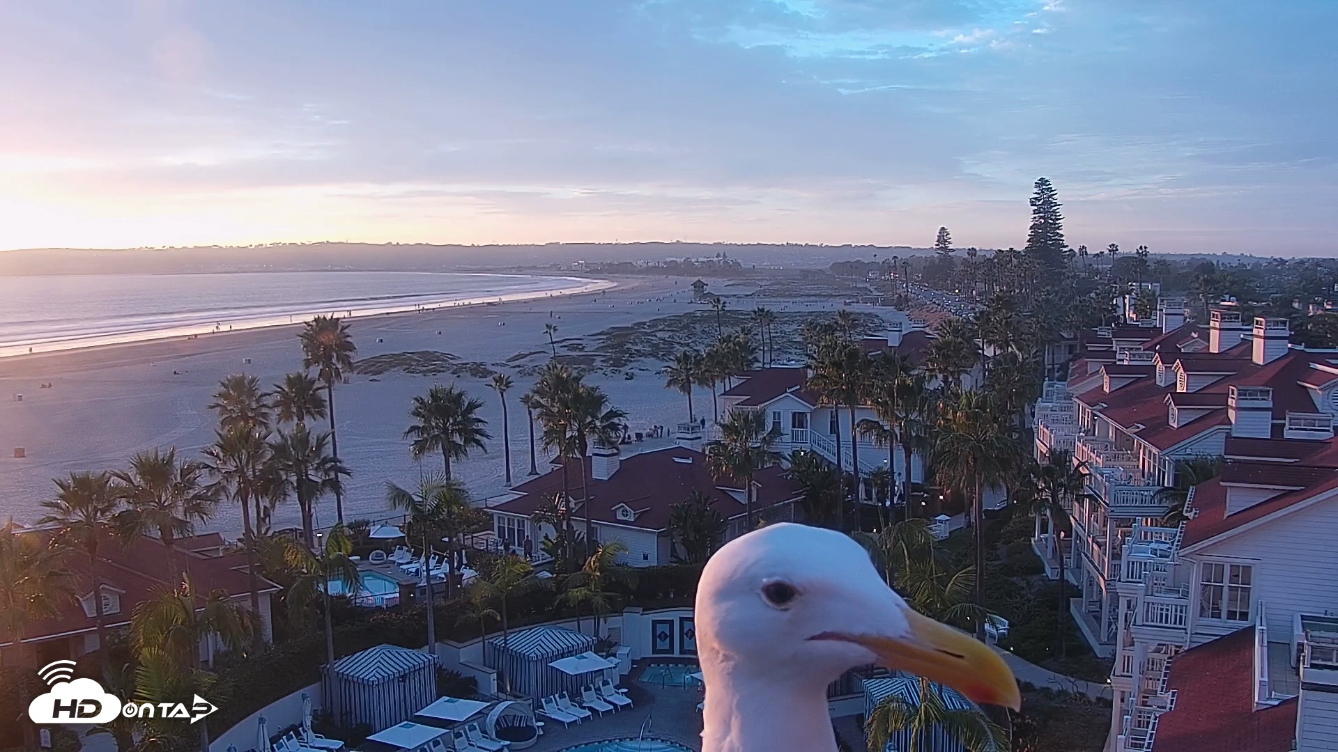 Snapshot of Hotel Del Coronado North Roaming Live Cam taken Feb 5, 2026, 5:16pm PST
