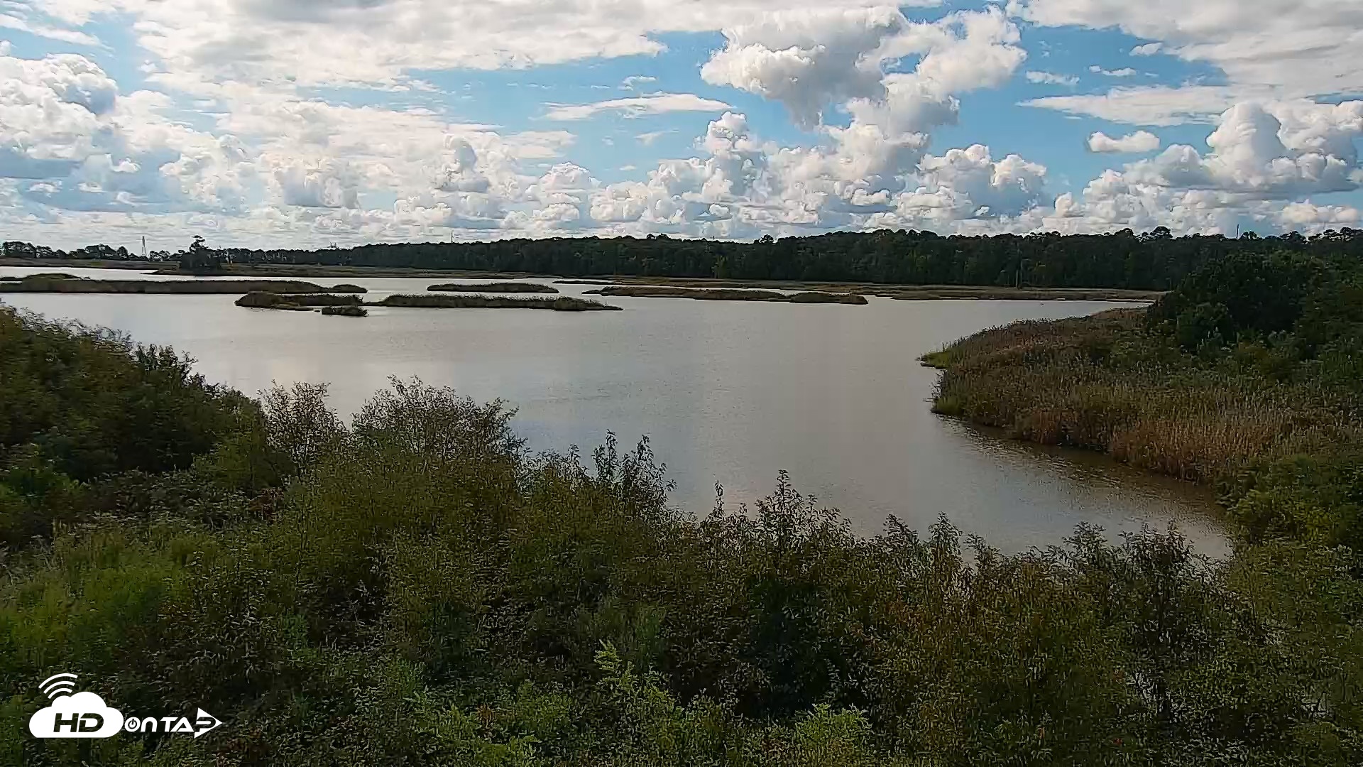 Snapshot of Hog Island Wildlife Management Area Live Cam taken Sep 7, 2026, 10:53am EDT