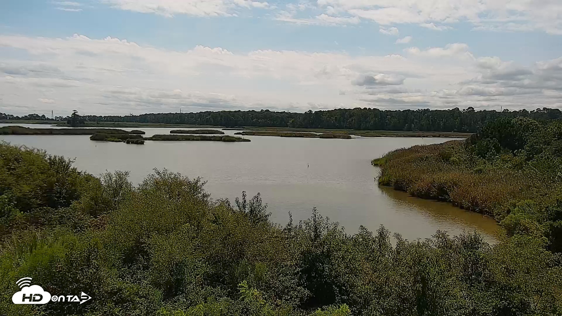 Snapshot of Hog Island Wildlife Management Area Live Cam taken Aug 21, 2026, 12:39pm EDT