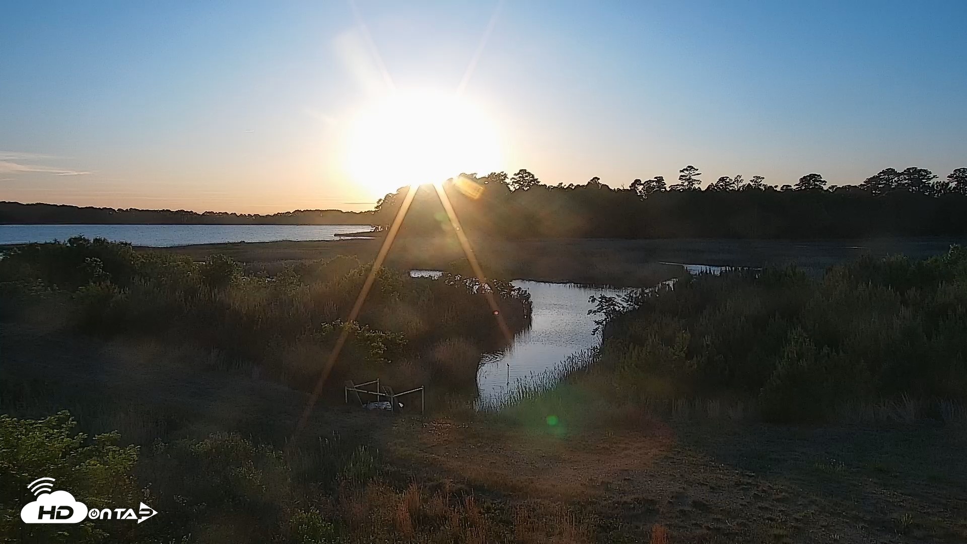 Snapshot of Hog Island Wildlife Management Area Live Cam taken Apr 28, 2026, 7:29pm EDT