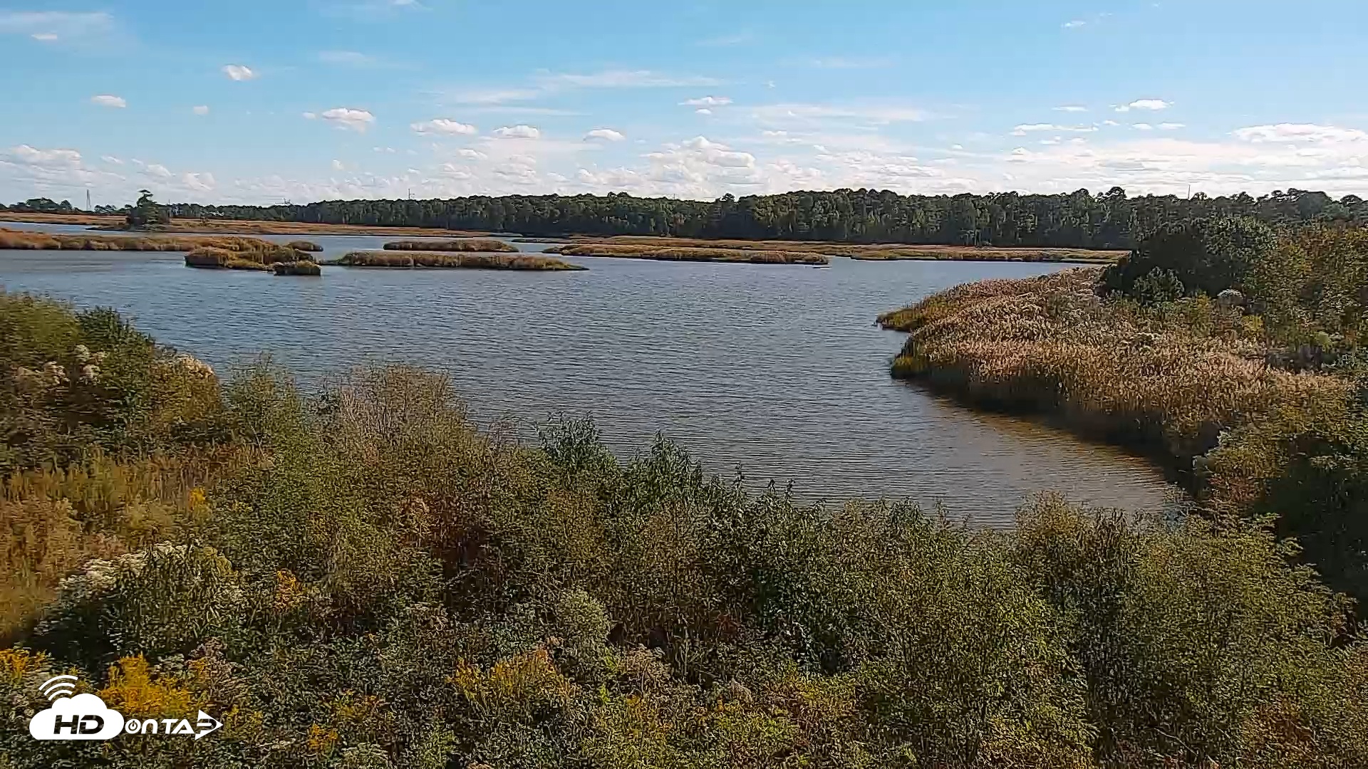 Snapshot of Hog Island Wildlife Management Area Live Cam taken Oct 7, 2025, 3:21pm EDT