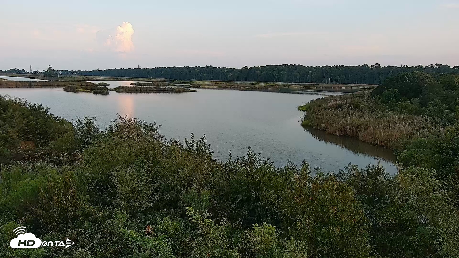 Snapshot of Hog Island Wildlife Management Area Live Cam taken Sep 3, 2026, 6:46pm EDT