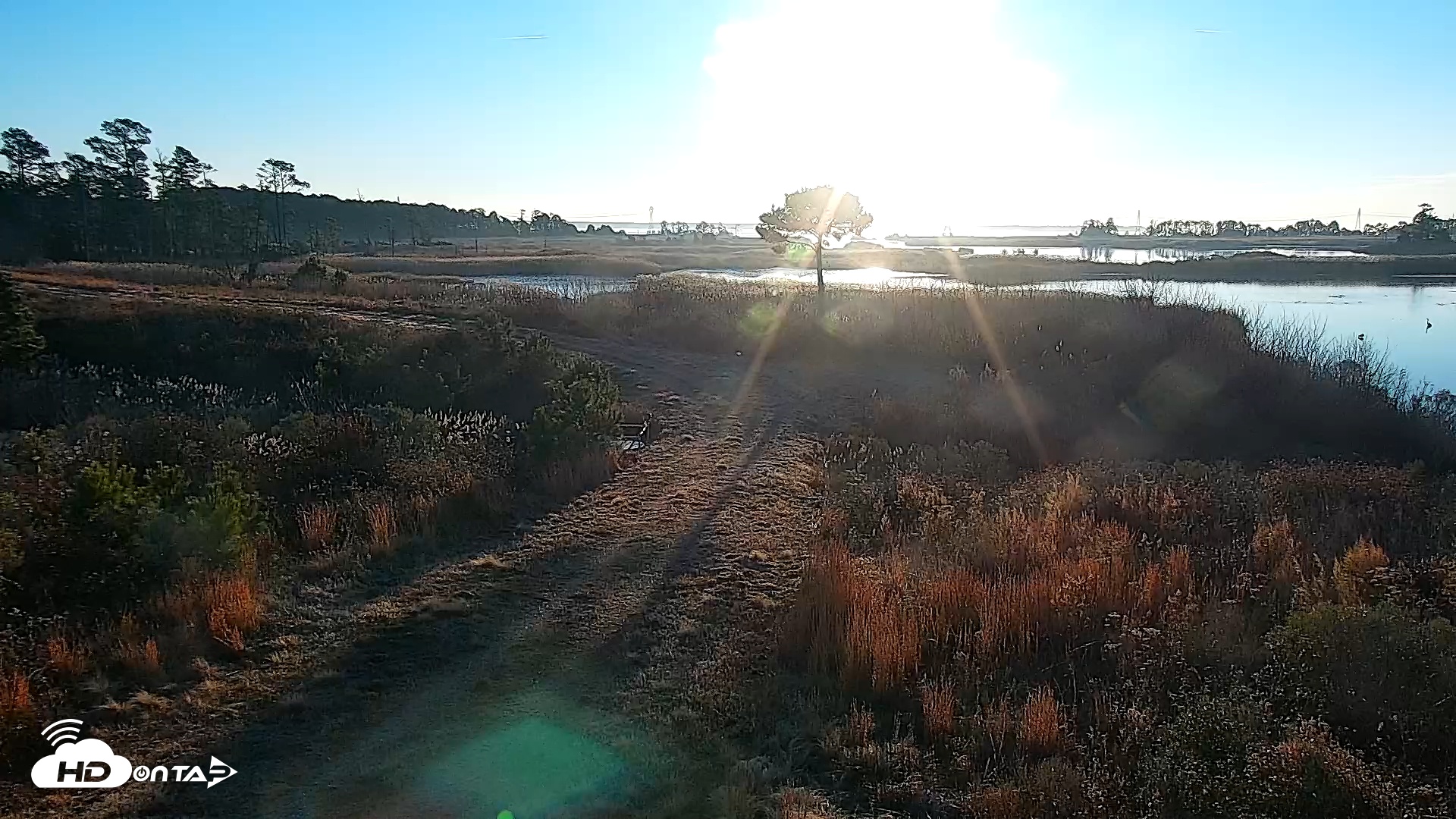 Snapshot of Hog Island Wildlife Management Area Live Cam taken Jan 8, 2026, 7:57am EST
