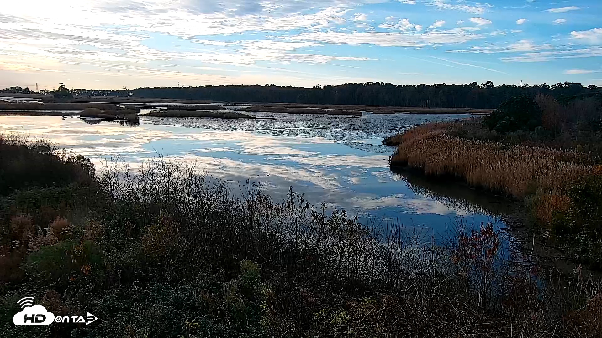 Snapshot of Hog Island Wildlife Management Area Live Cam taken Nov 25, 2025, 8:03am EST