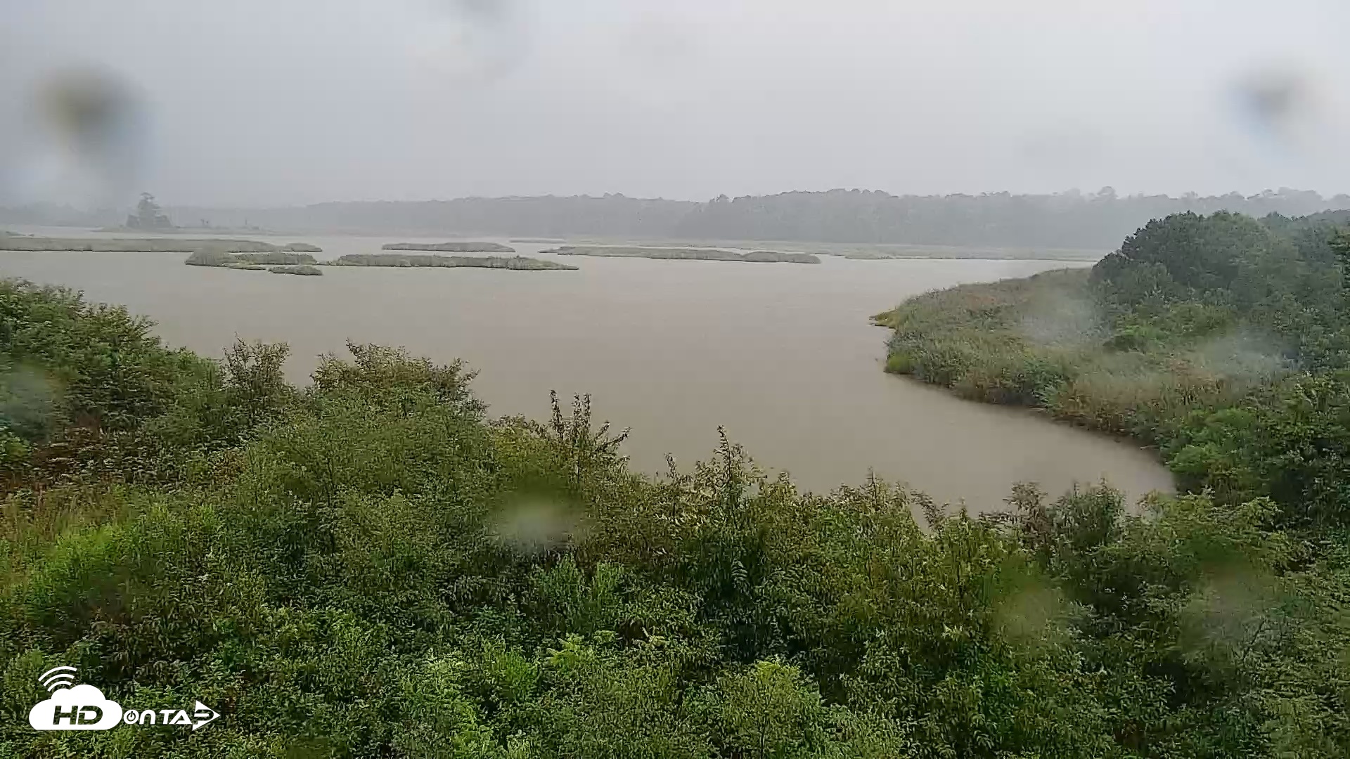 Snapshot of Hog Island Wildlife Management Area Live Cam taken Jul 28, 2026, 7:57pm EDT