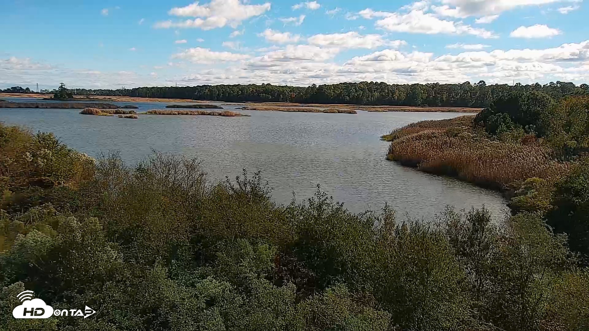 Snapshot of Hog Island Wildlife Management Area Live Cam taken Oct 12, 2026, 3:08pm EDT