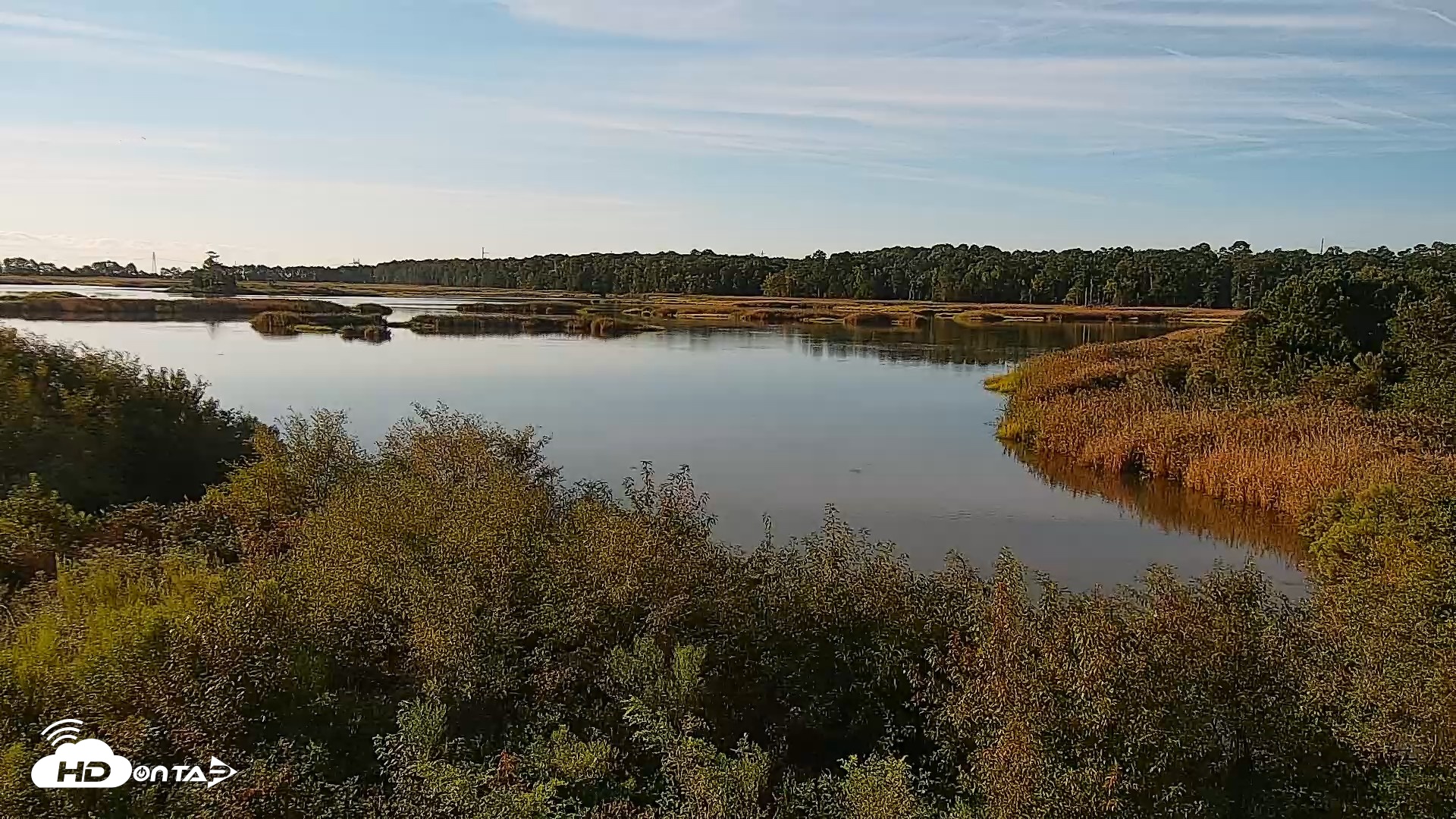Snapshot of Hog Island Wildlife Management Area Live Cam taken Sep 8, 2026, 8:14am EDT
