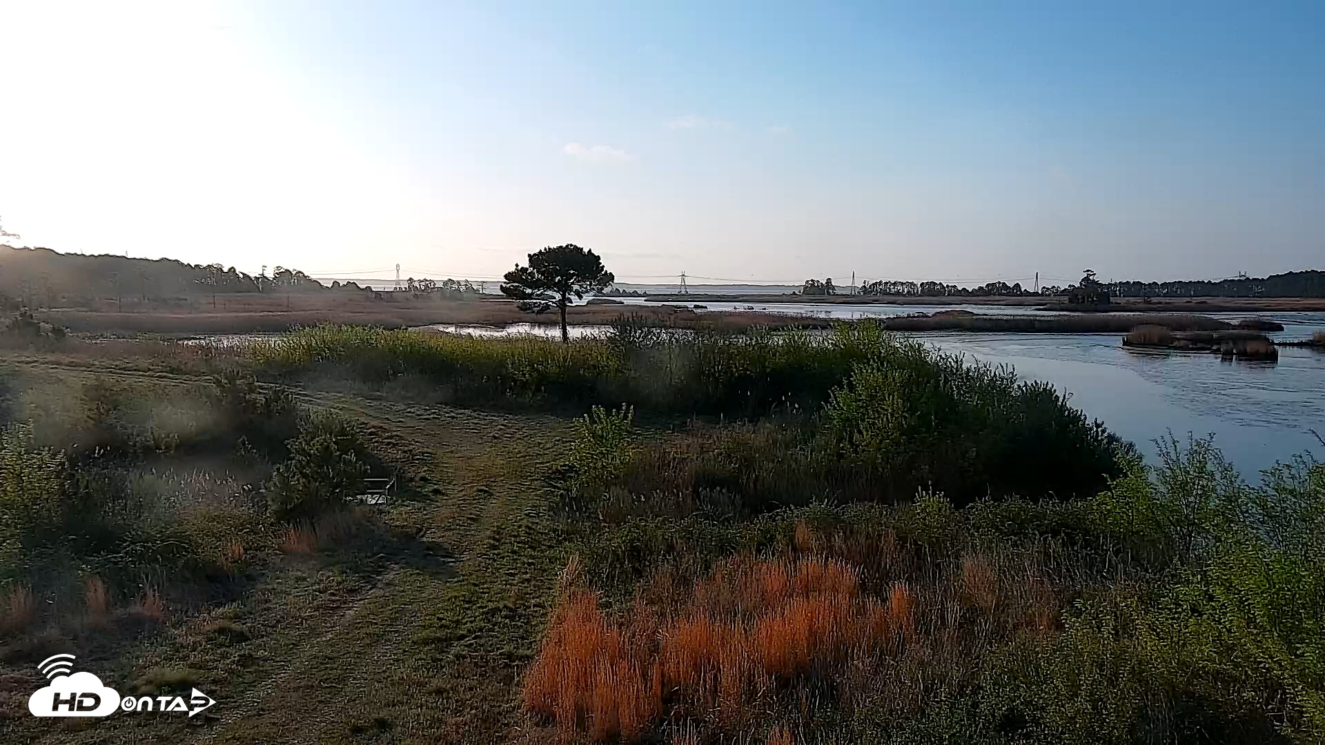 Snapshot of Hog Island Wildlife Management Area Live Cam taken Apr 2, 2026, 7:52am EDT