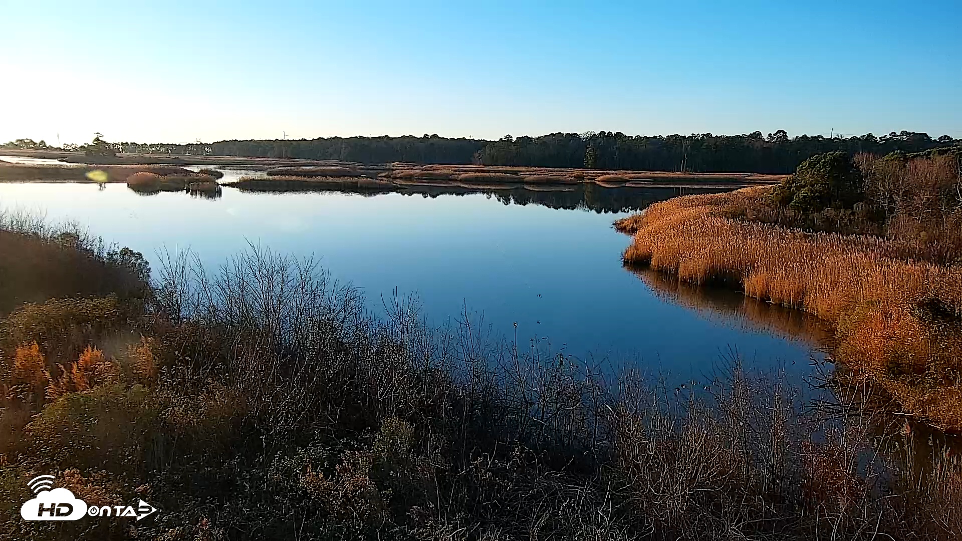 Snapshot of Hog Island Wildlife Management Area Live Cam taken Dec 20, 2025, 7:49am EST