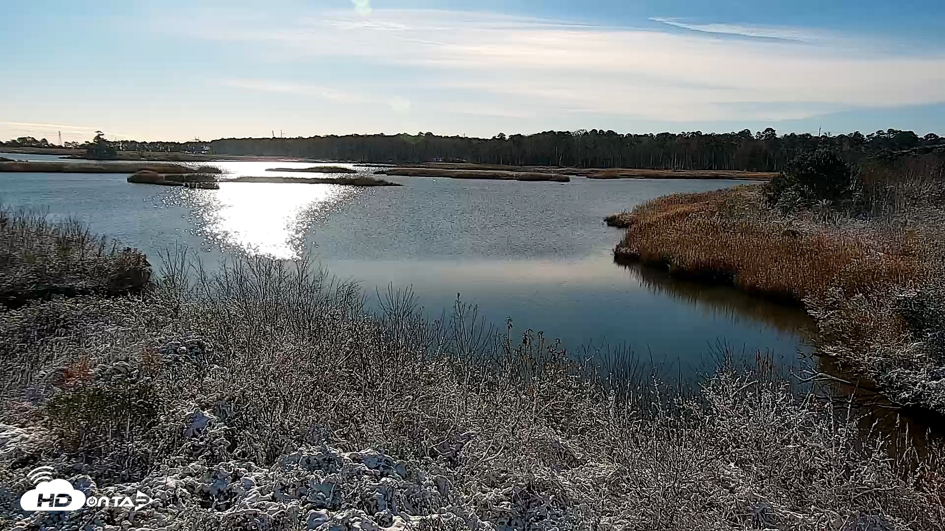 Snapshot of Hog Island Wildlife Management Area Live Cam taken Dec 9, 2025, 10:25am EST