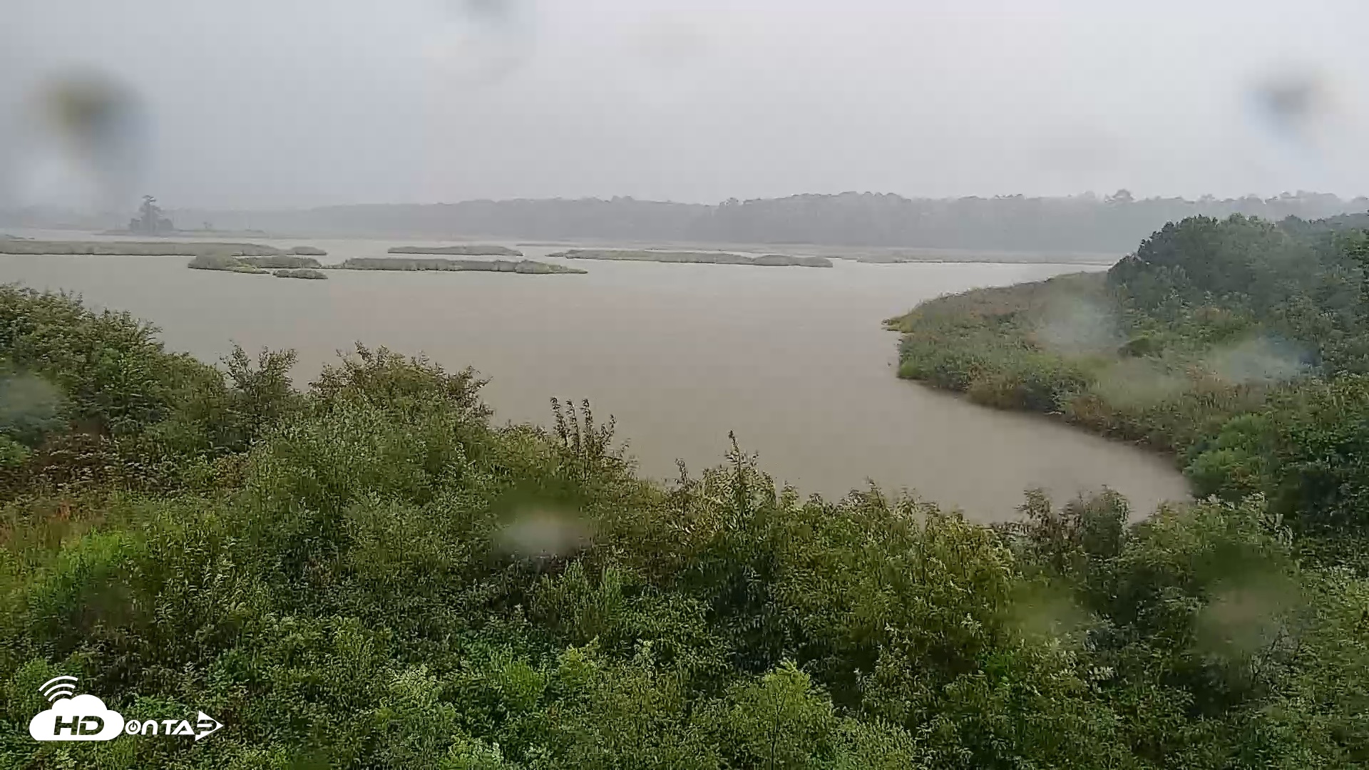 Snapshot of Hog Island Wildlife Management Area Live Cam taken Jul 28, 2026, 7:57pm EDT