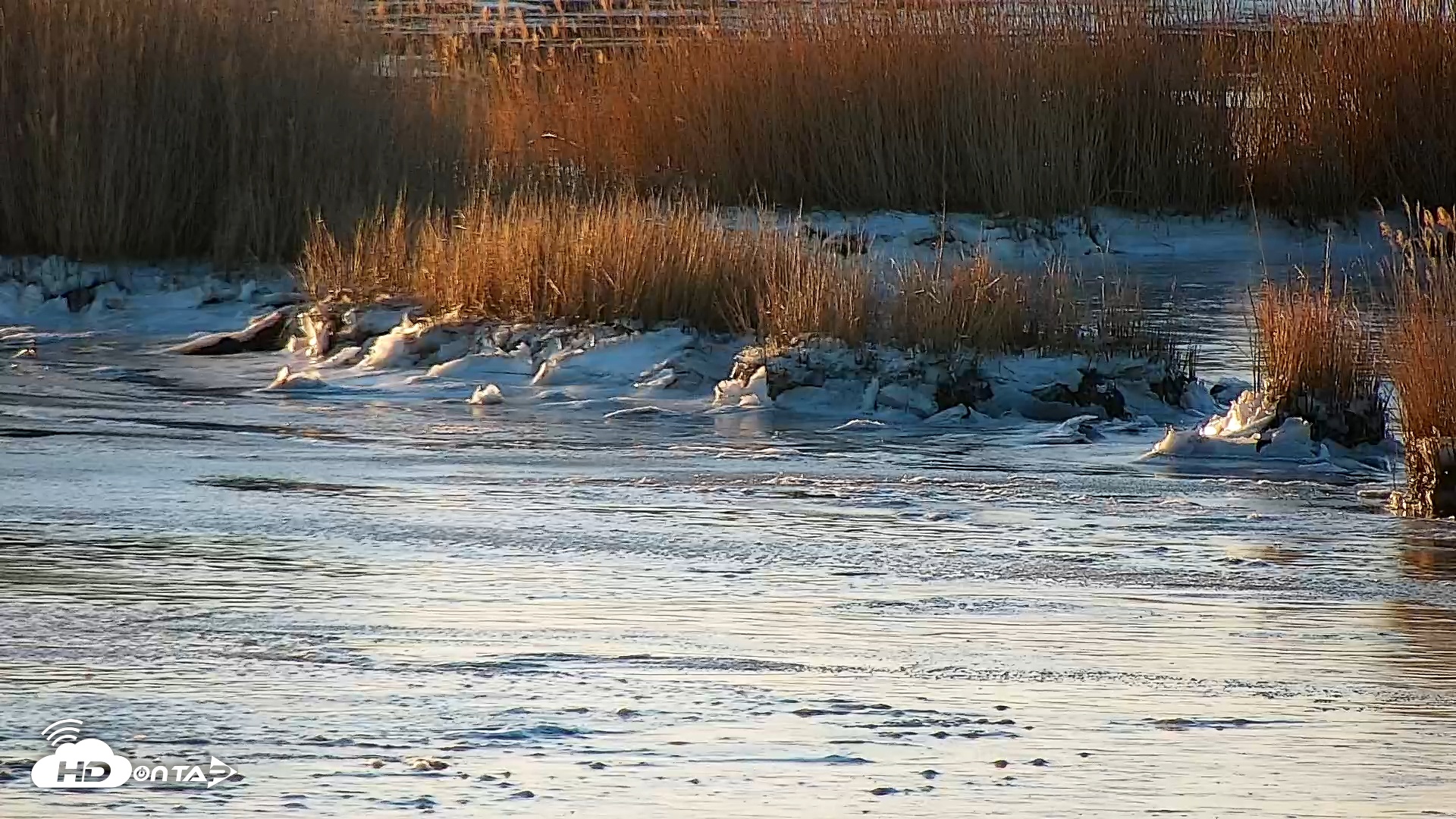 Snapshot of Hog Island Wildlife Management Area Live Cam taken Feb 3, 2026, 7:40am EST