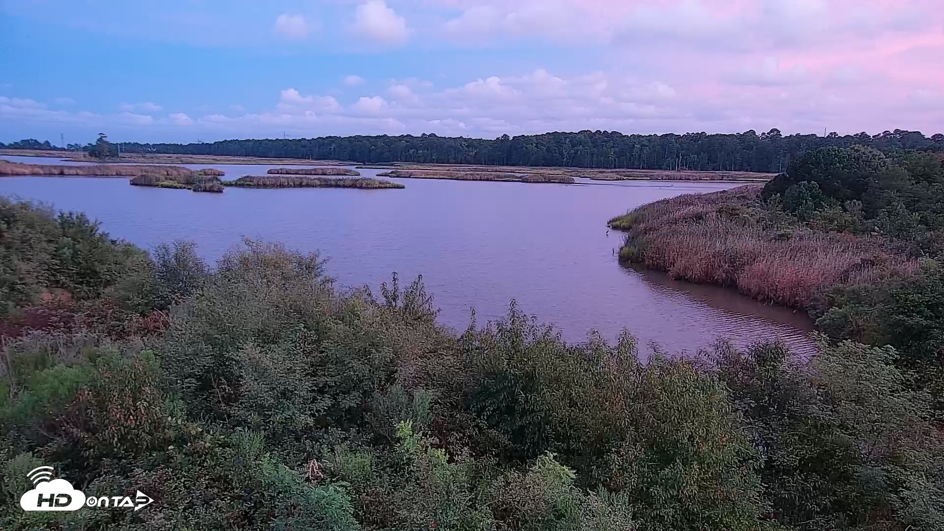 Snapshot of Hog Island Wildlife Management Area Live Cam taken Aug 29, 2026, 7:49pm EDT