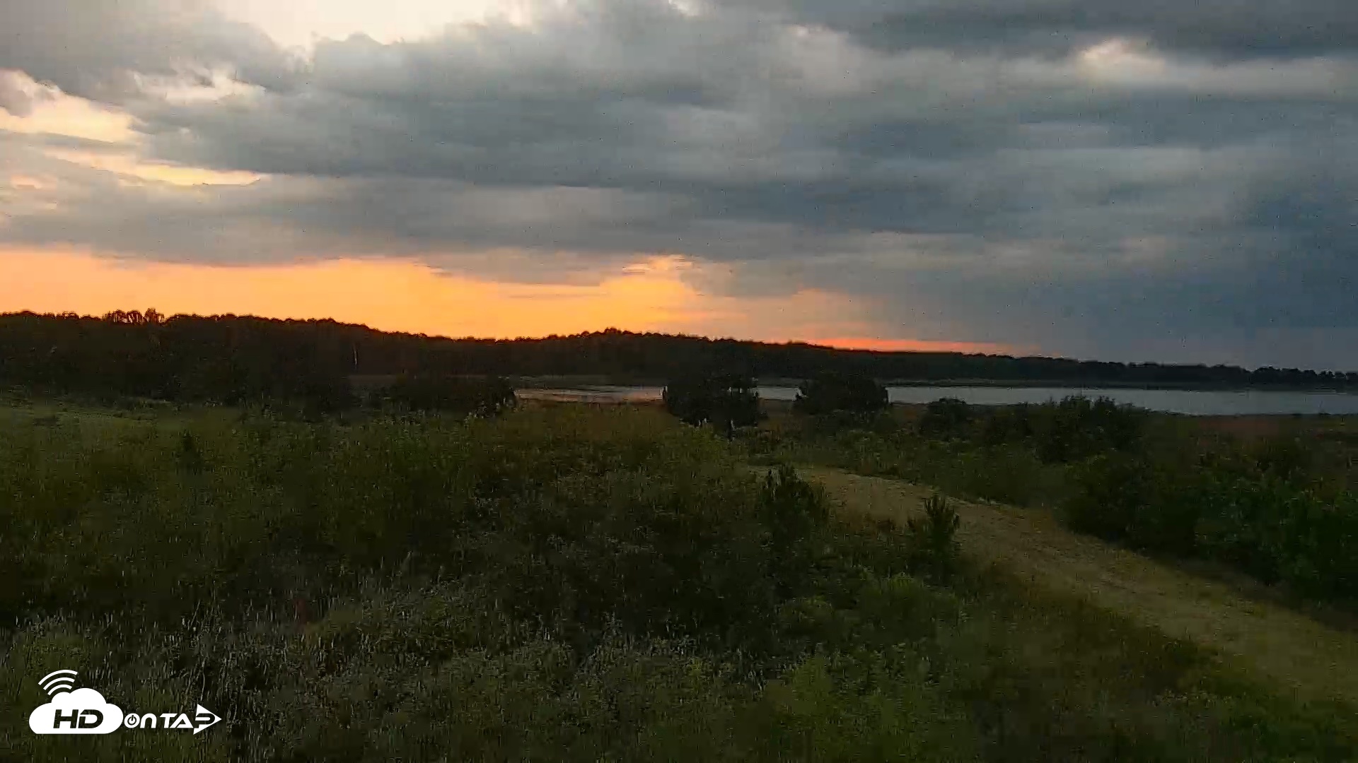 Snapshot of Hog Island Wildlife Management Area Live Cam taken Sep 10, 2026, 7:14pm EDT