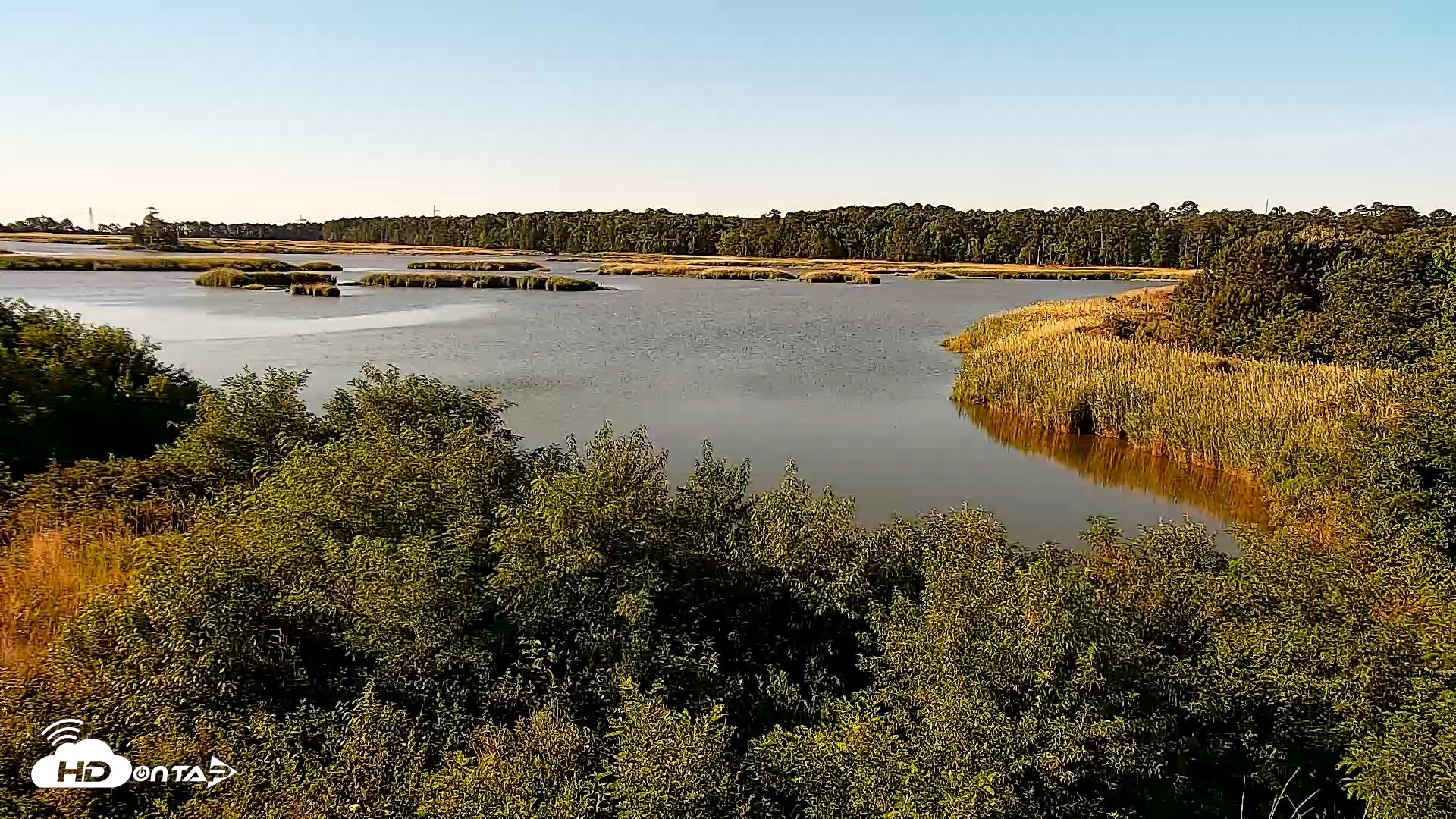 Snapshot of Hog Island Wildlife Management Area Live Cam taken May 29, 2026, 7:51am EDT