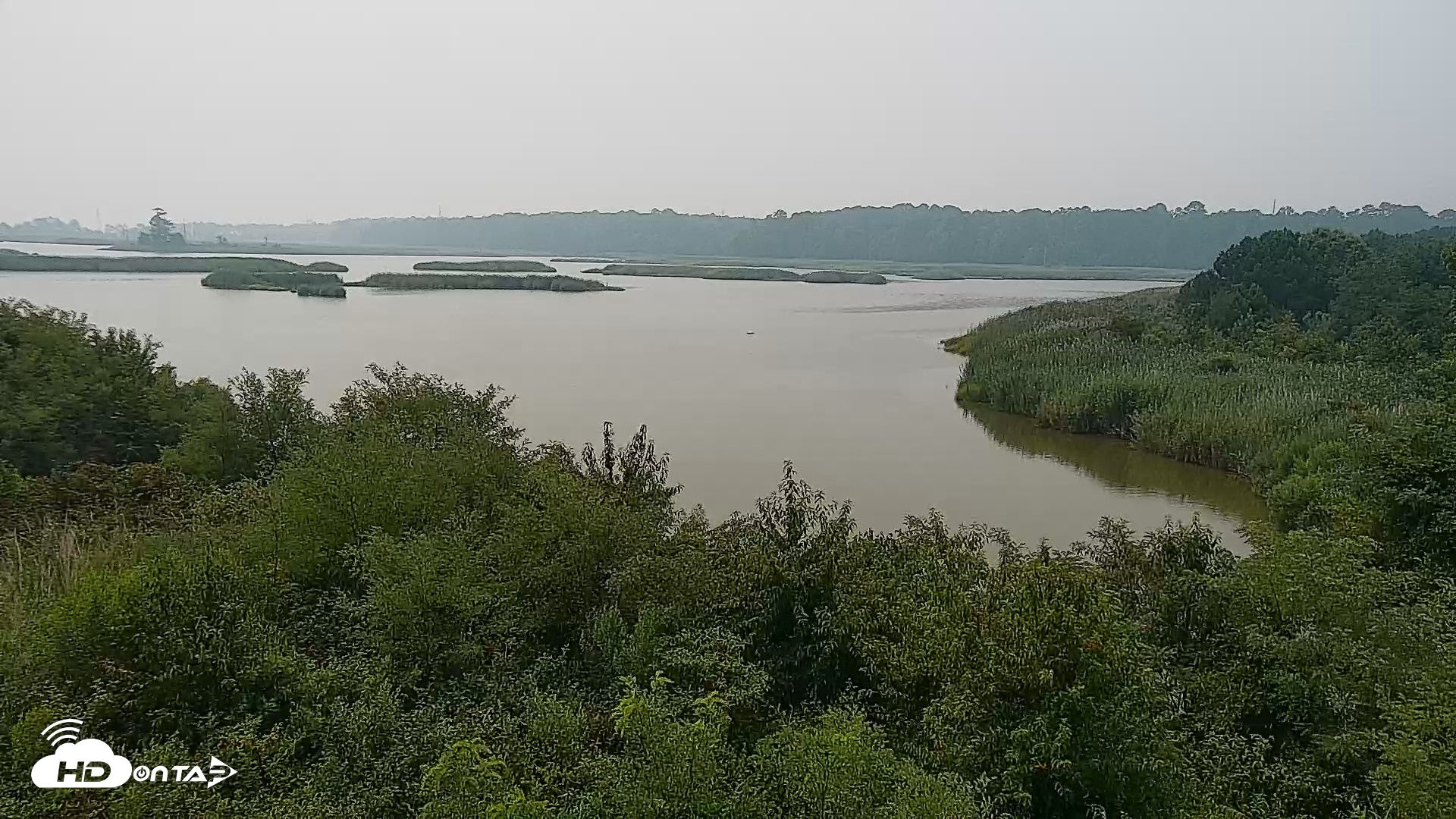 Snapshot of Hog Island Wildlife Management Area Live Cam taken Jul 17, 2026, 11:51am EDT