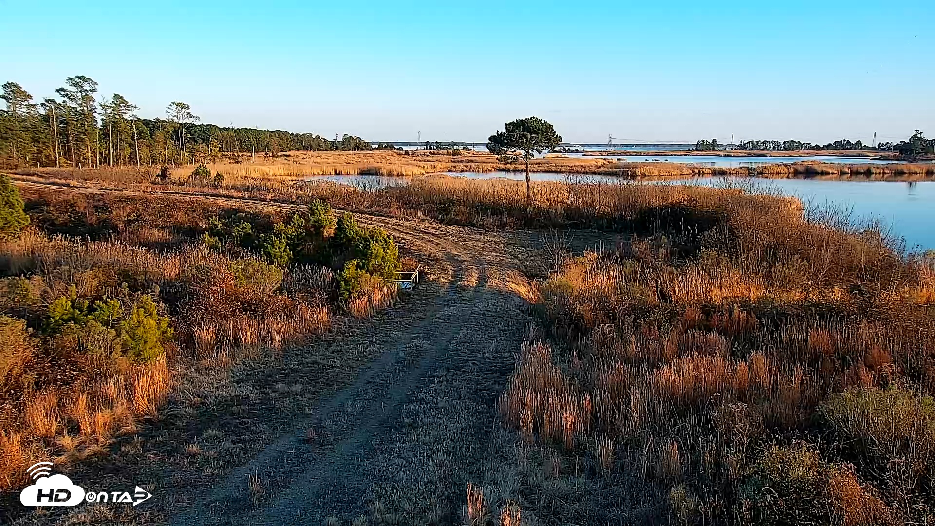 Snapshot of Hog Island Wildlife Management Area Live Cam taken Jan 7, 2026, 4:32pm EST