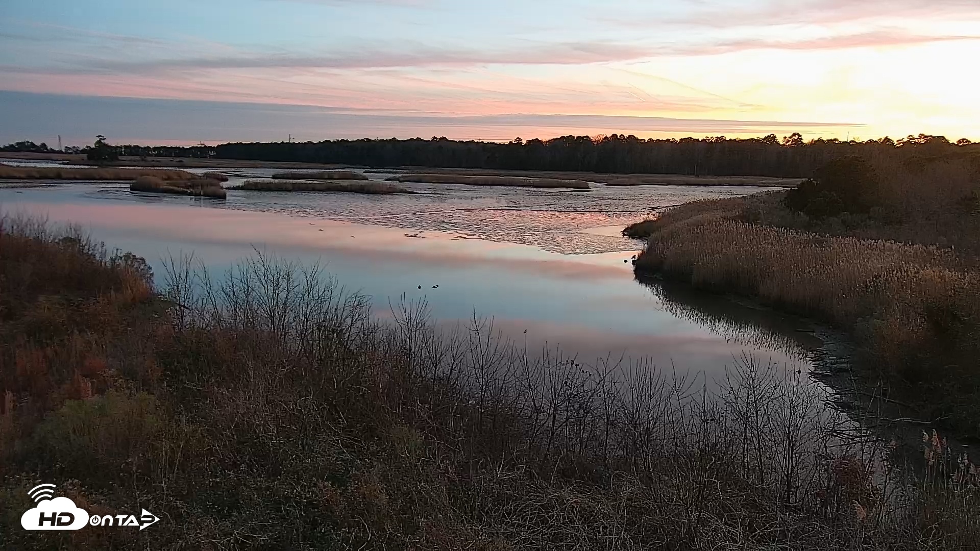 Snapshot of Hog Island Wildlife Management Area Live Cam taken Jan 1, 2026, 5:15pm EST