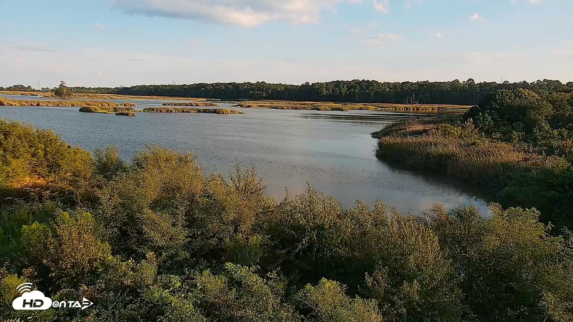 Snapshot of Hog Island Wildlife Management Area Live Cam taken Aug 23, 2026, 6:48pm EDT