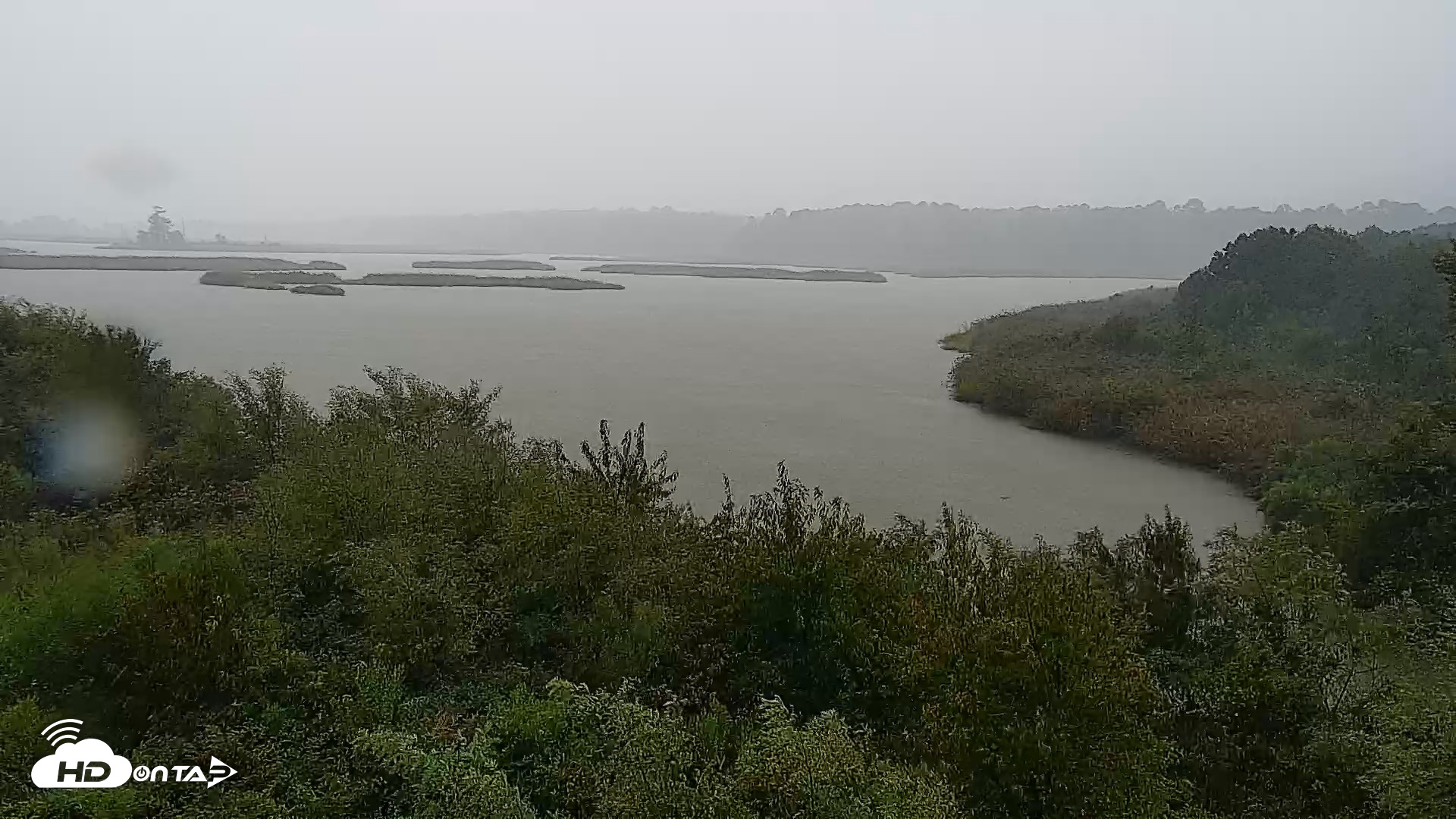 Snapshot of Hog Island Wildlife Management Area Live Cam taken Sep 5, 2026, 1:34pm EDT