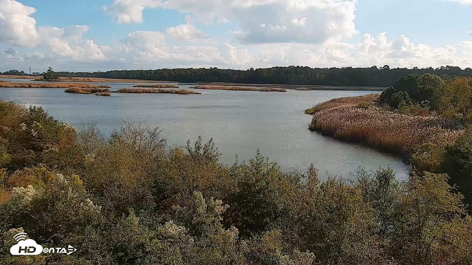 Snapshot of Hog Island Wildlife Management Area Live Cam taken Oct 23, 2026, 3:35pm EDT